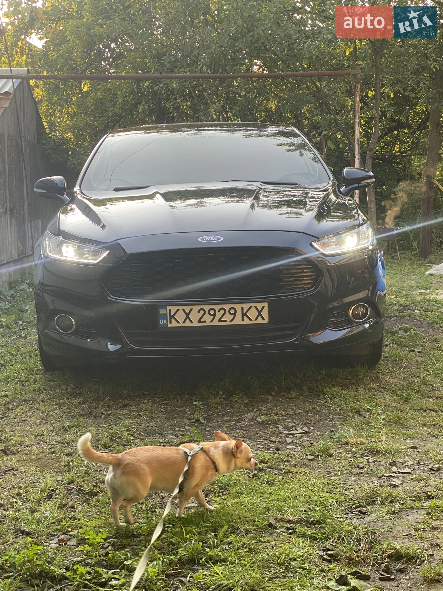 Ford Fusion, 2015