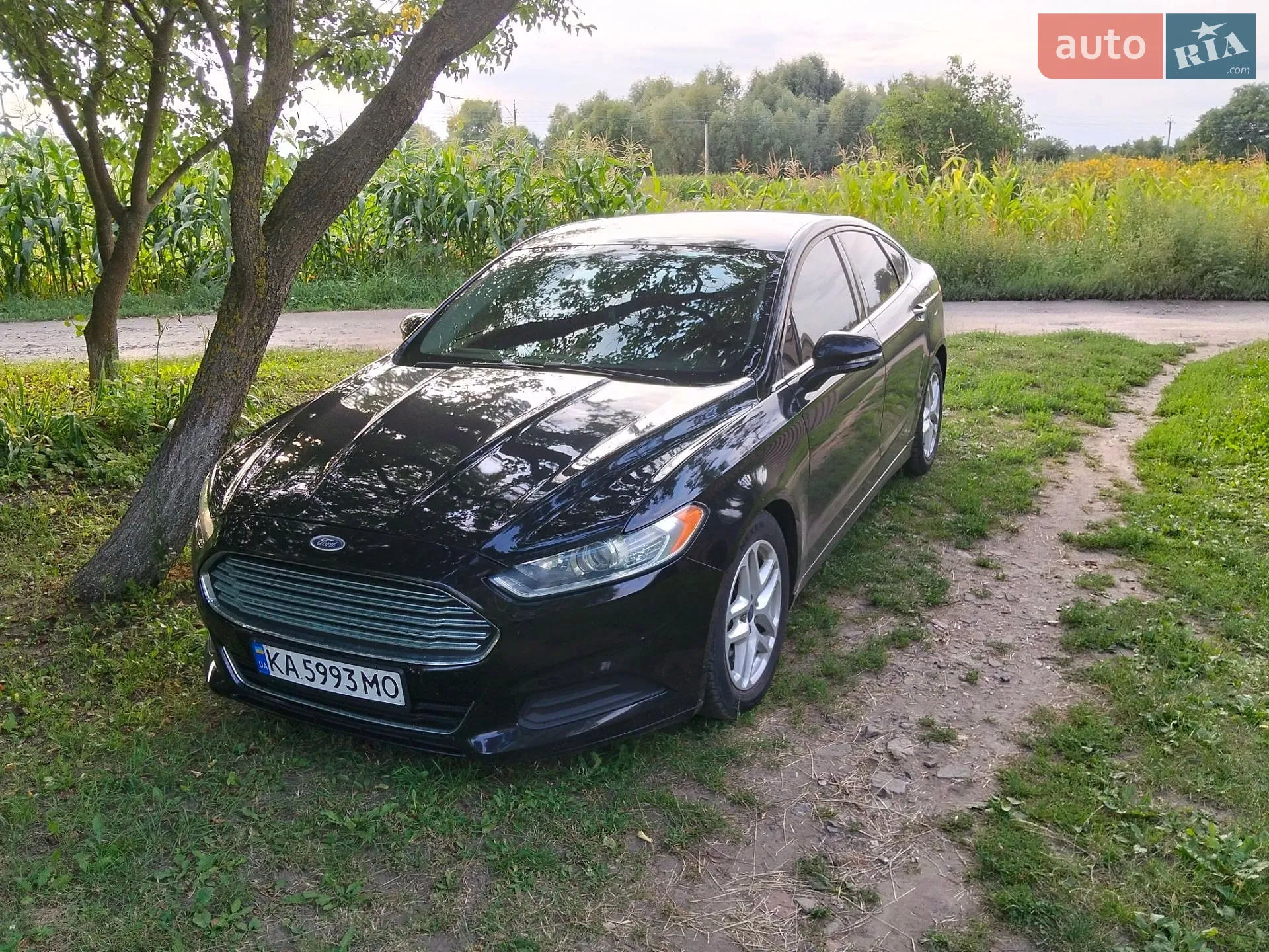 Ford Fusion, 2015