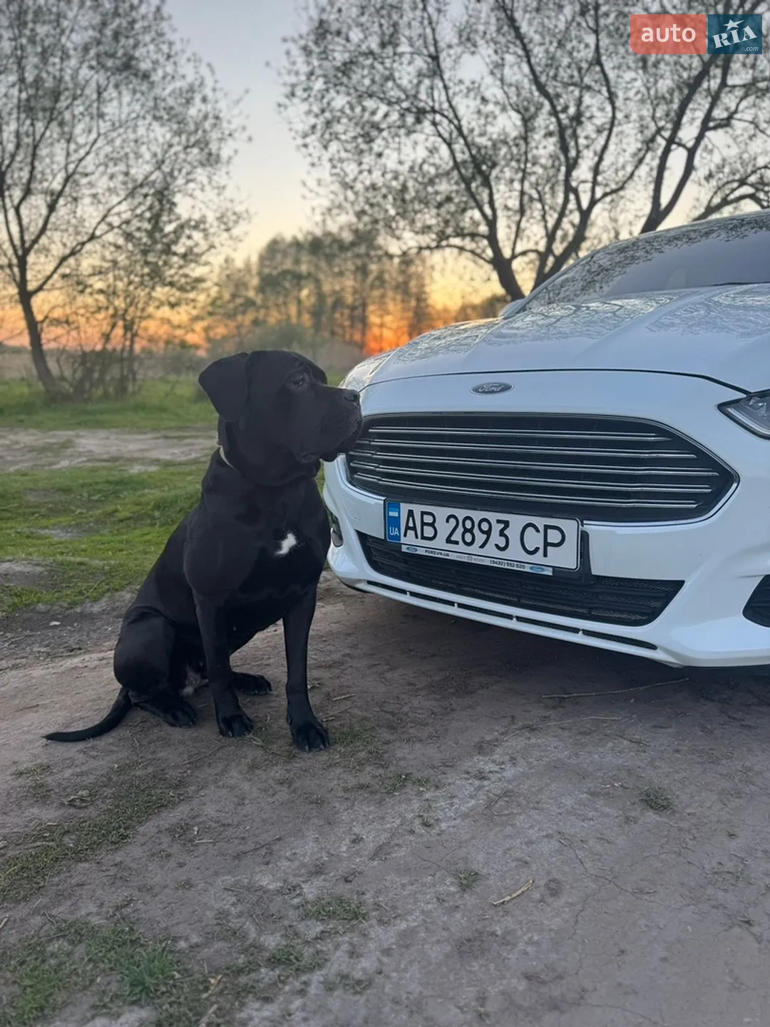 Ford Mondeo, 2017
