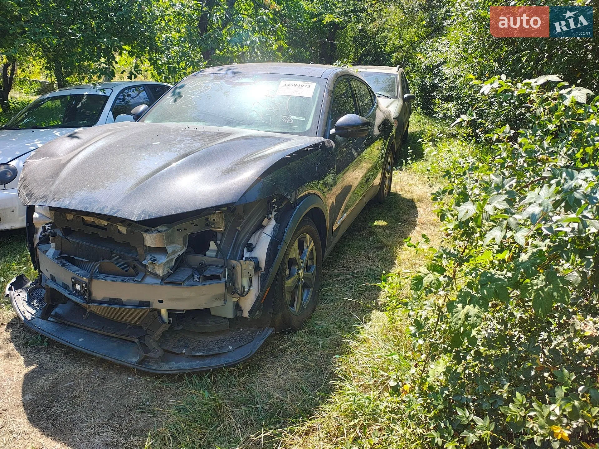 Ford Mustang Mach-E, 2021