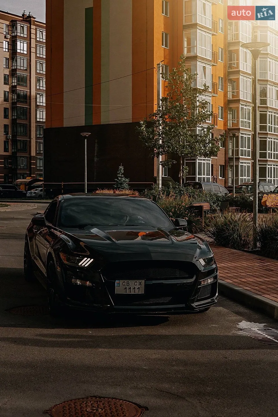 Ford Mustang, 2014