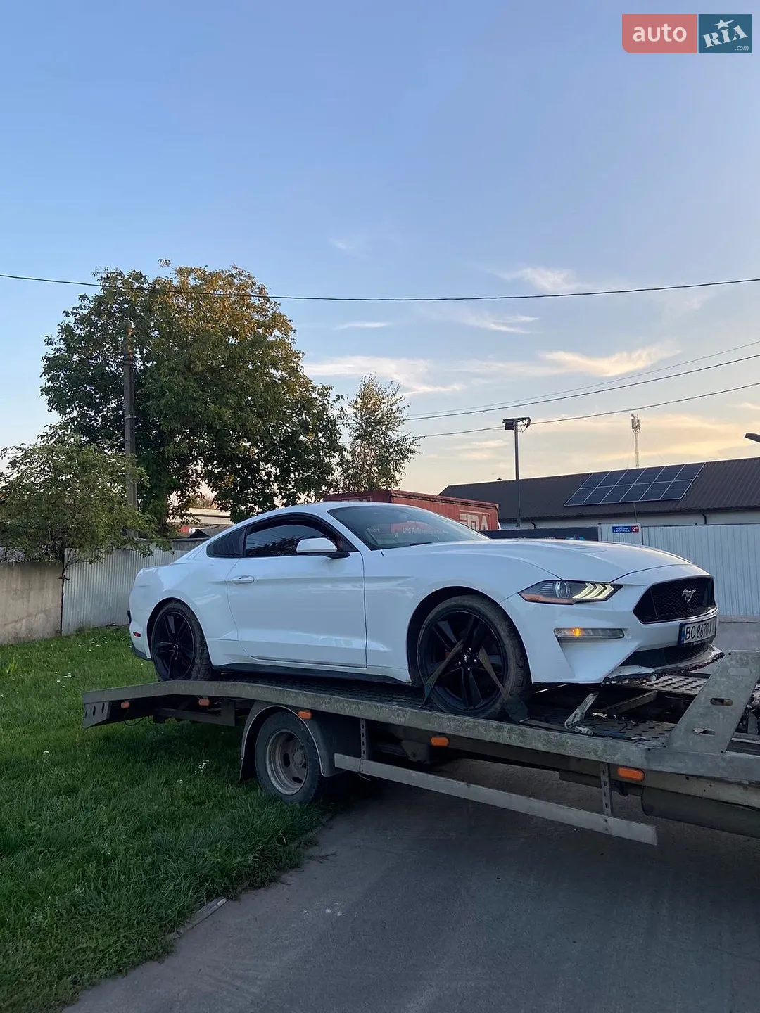 Ford Mustang, 2025