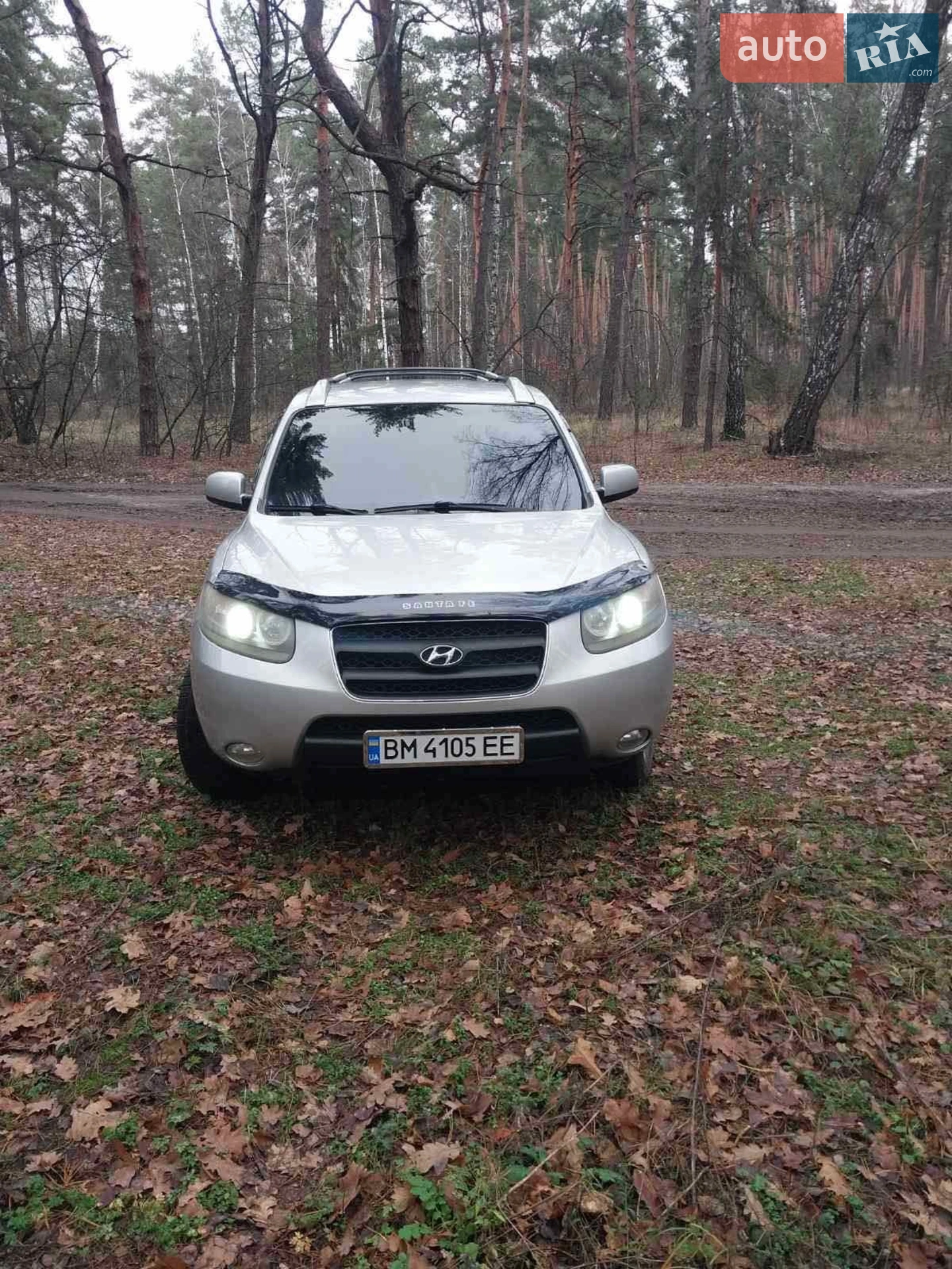 Hyundai Santa FE, 2006