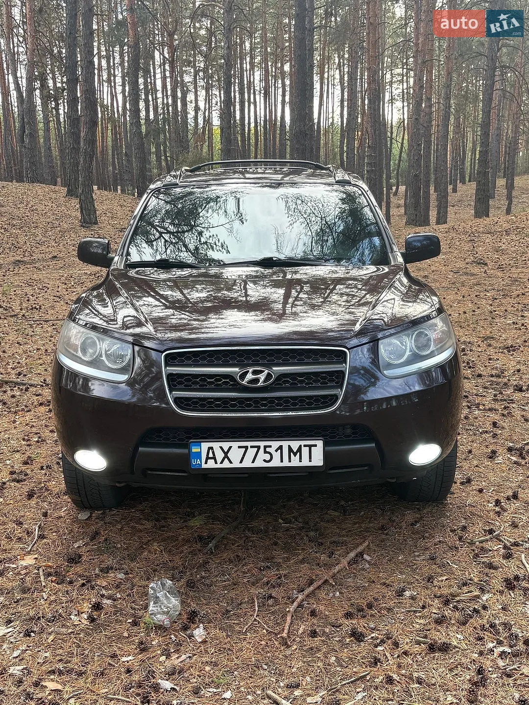 Hyundai Santa FE, 2007