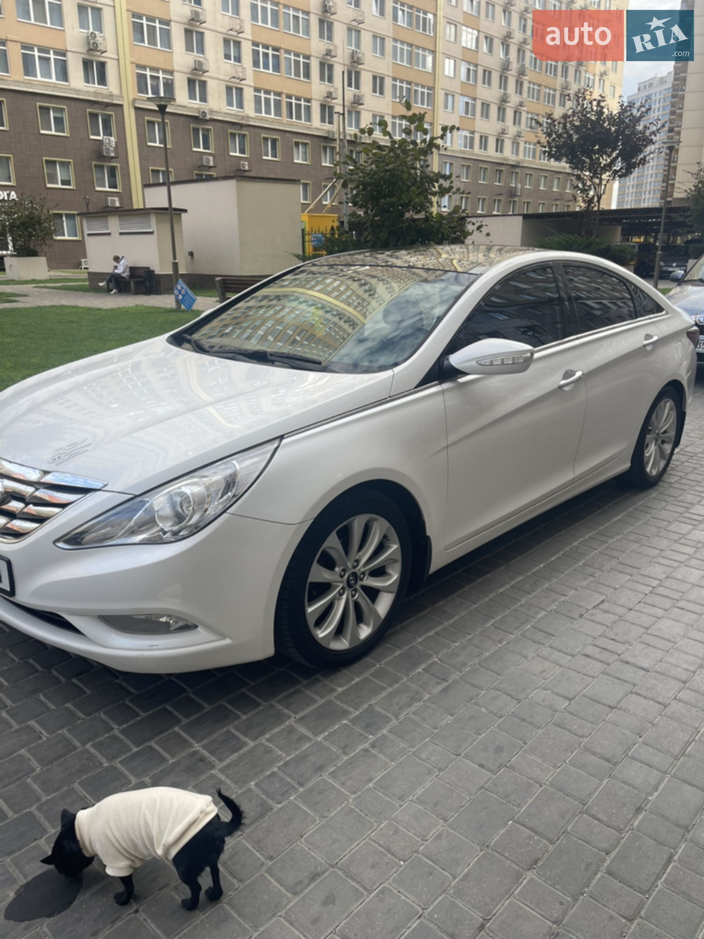 Hyundai Sonata, 2010