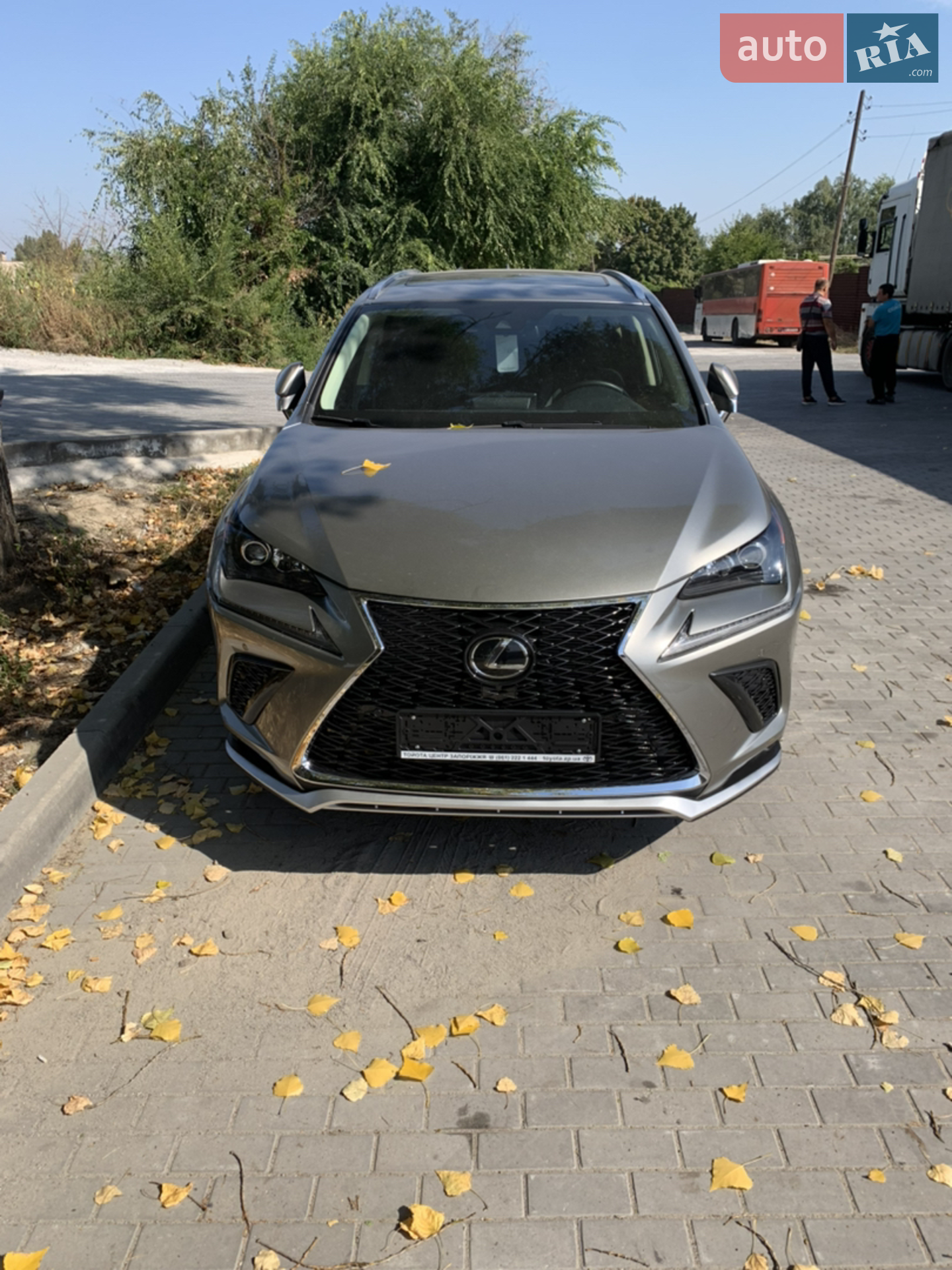Lexus NX, 2019