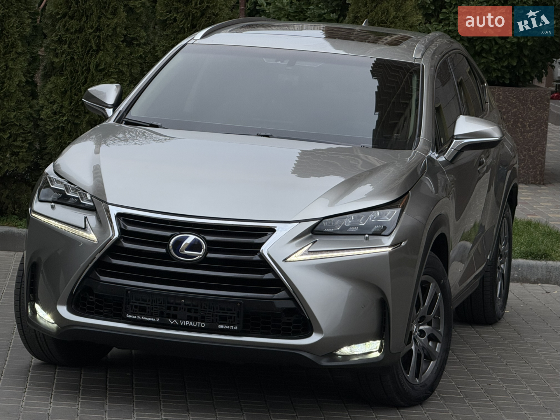 Lexus NX, 2018