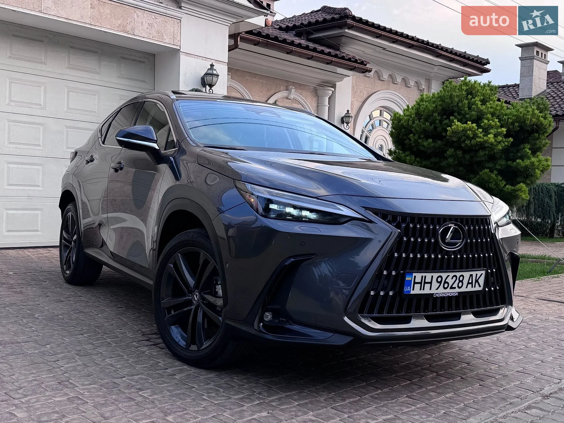 Lexus NX, 2022