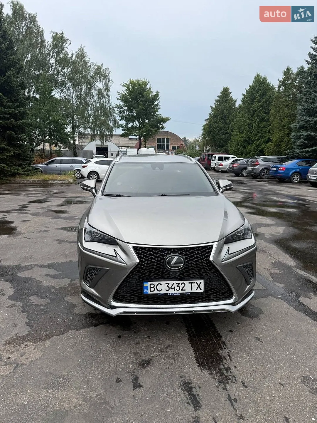 Lexus NX, 2019