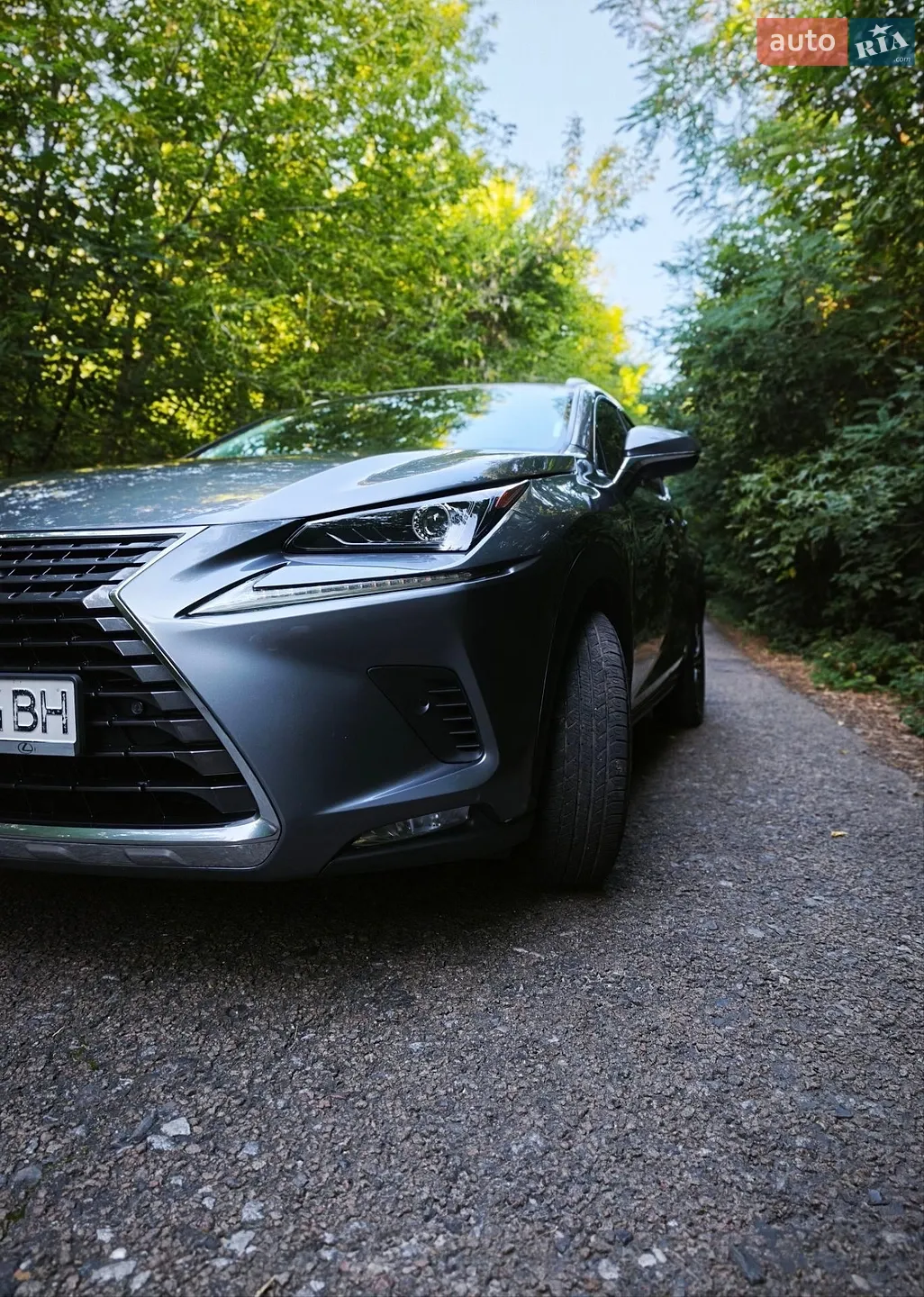 Lexus NX, 2018