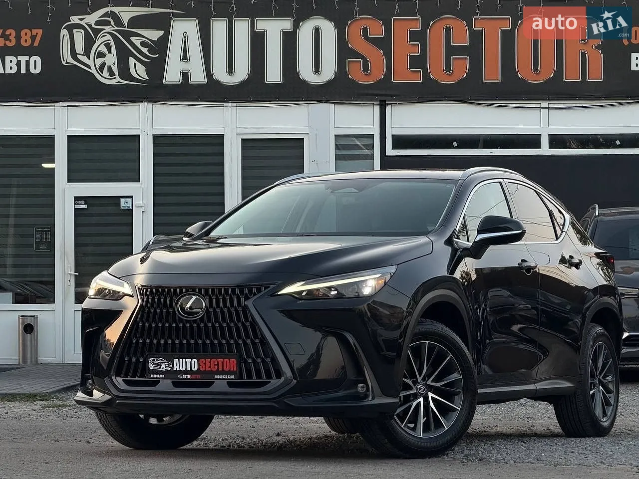 Lexus NX, 2023