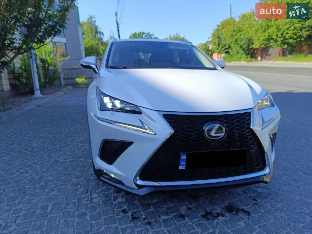 Lexus NX, 2019