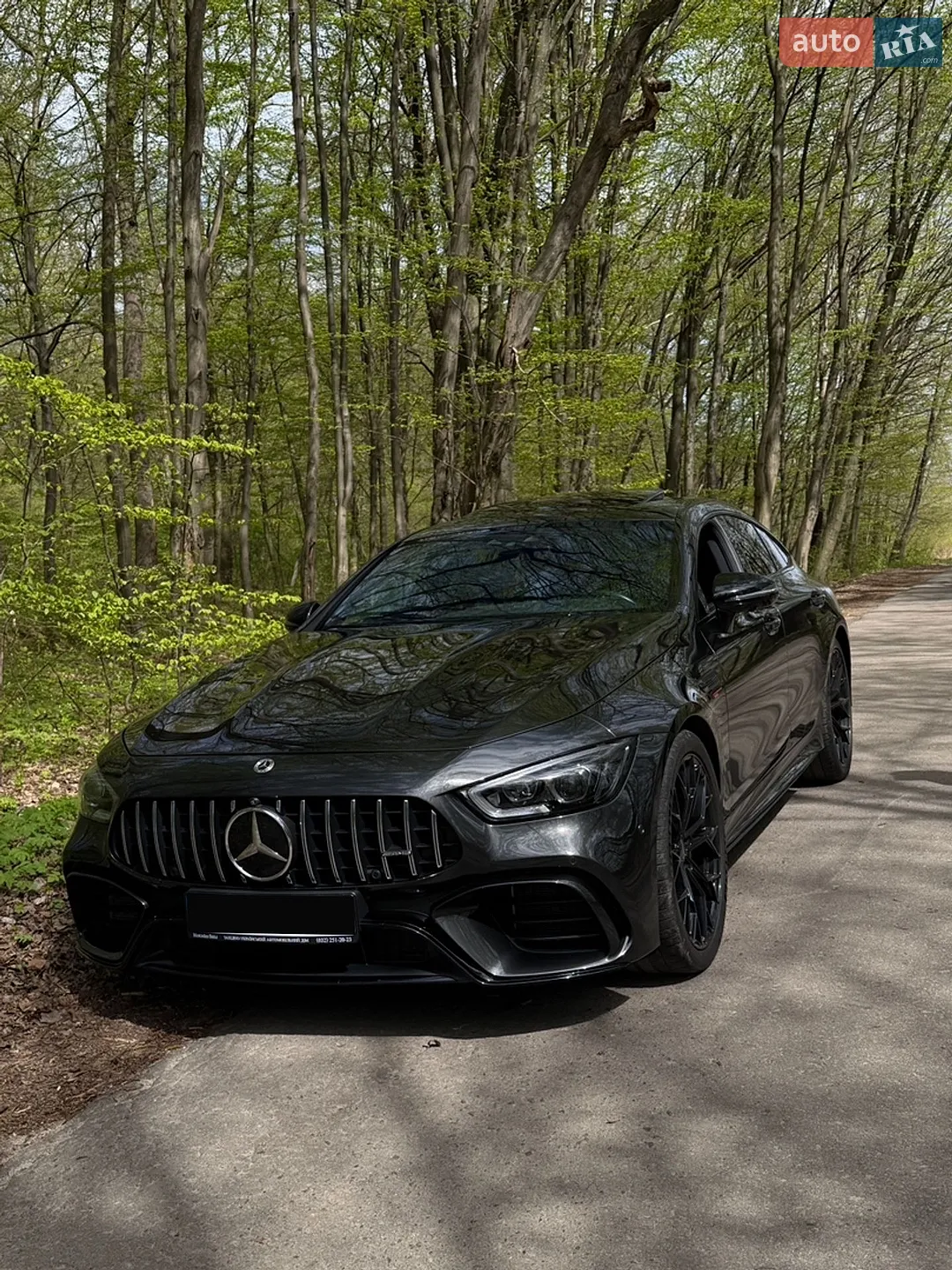 Mercedes-Benz AMG GT 4-Door Coupe, 2018