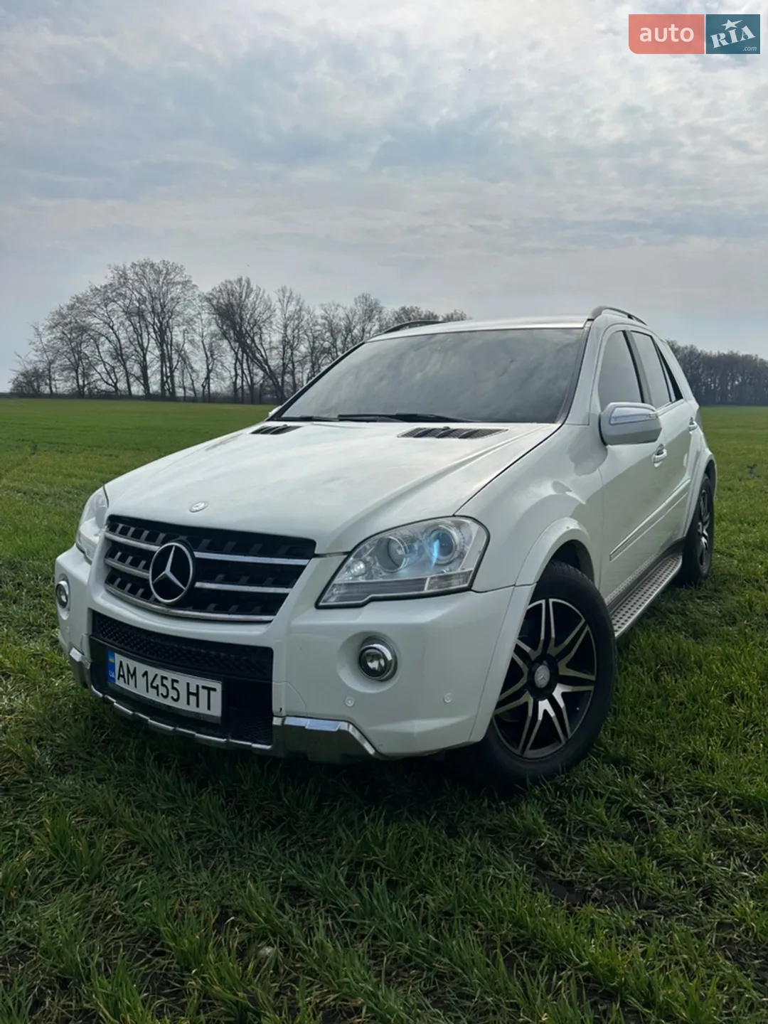 Mercedes-Benz M-Class, 2010