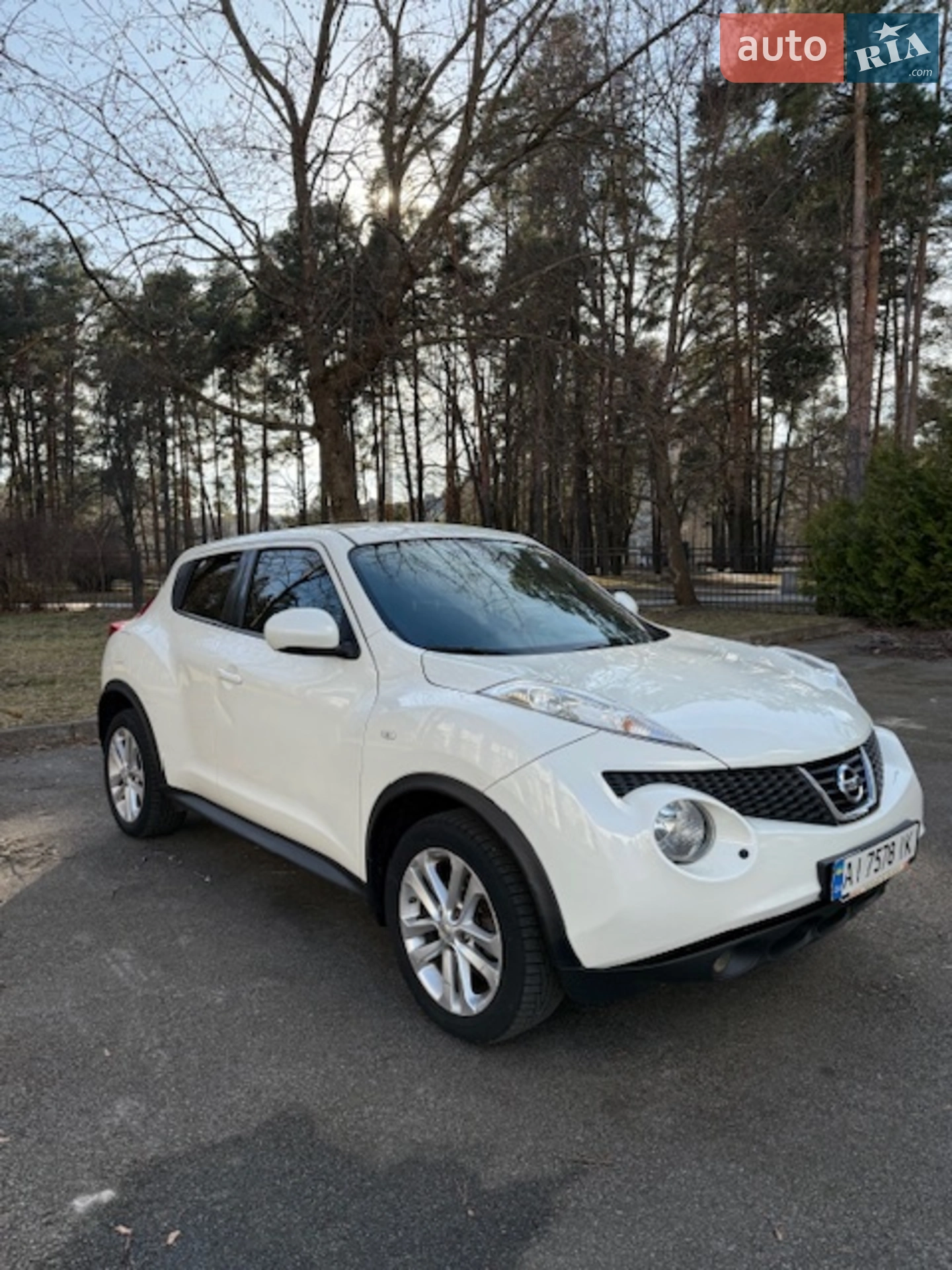 Nissan Juke, 2013