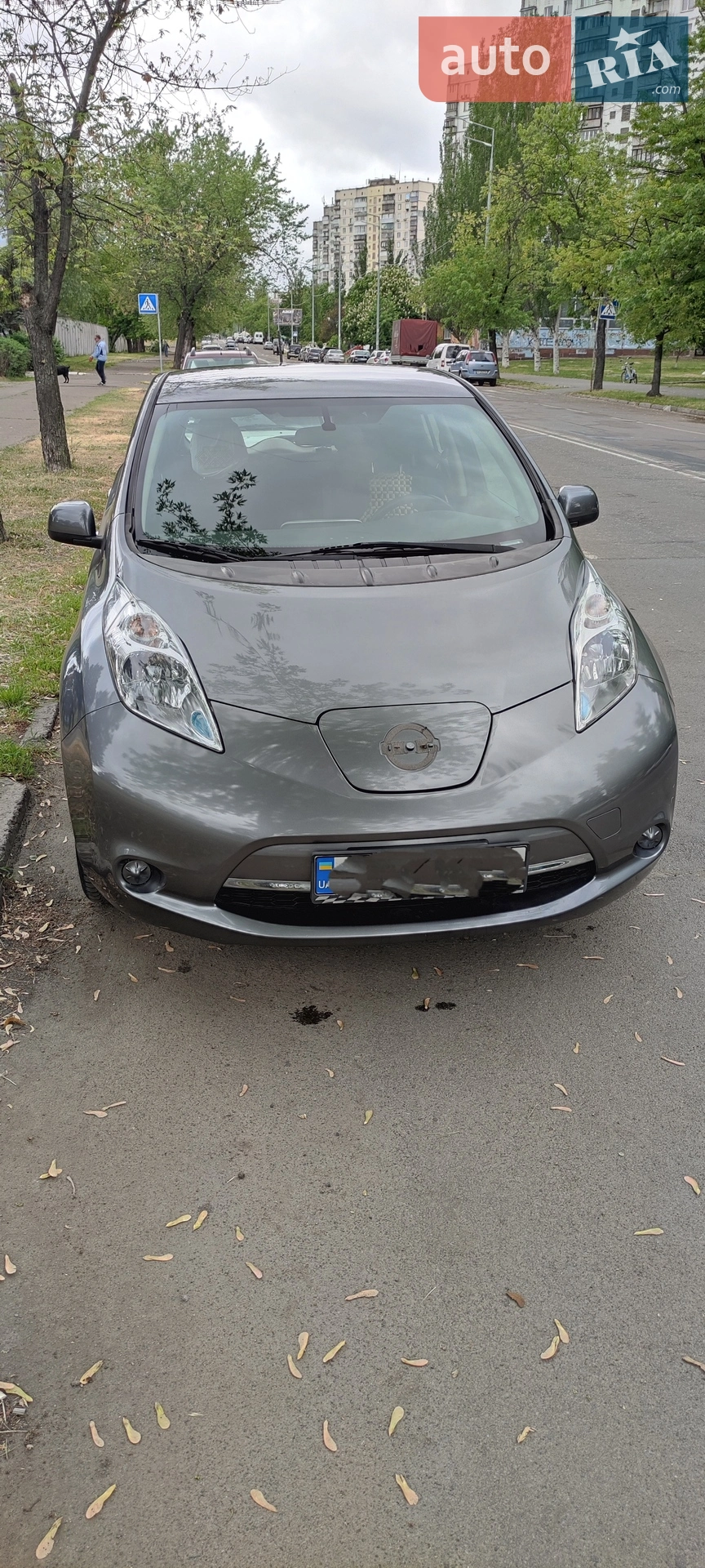 Nissan Leaf, 2014