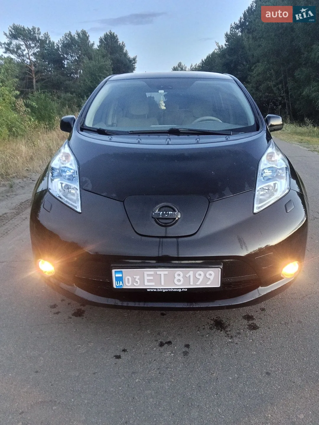 Nissan Leaf, 2013