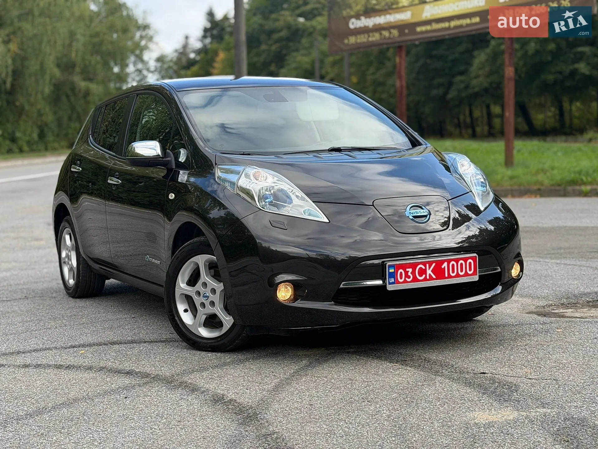 Nissan Leaf, 2013