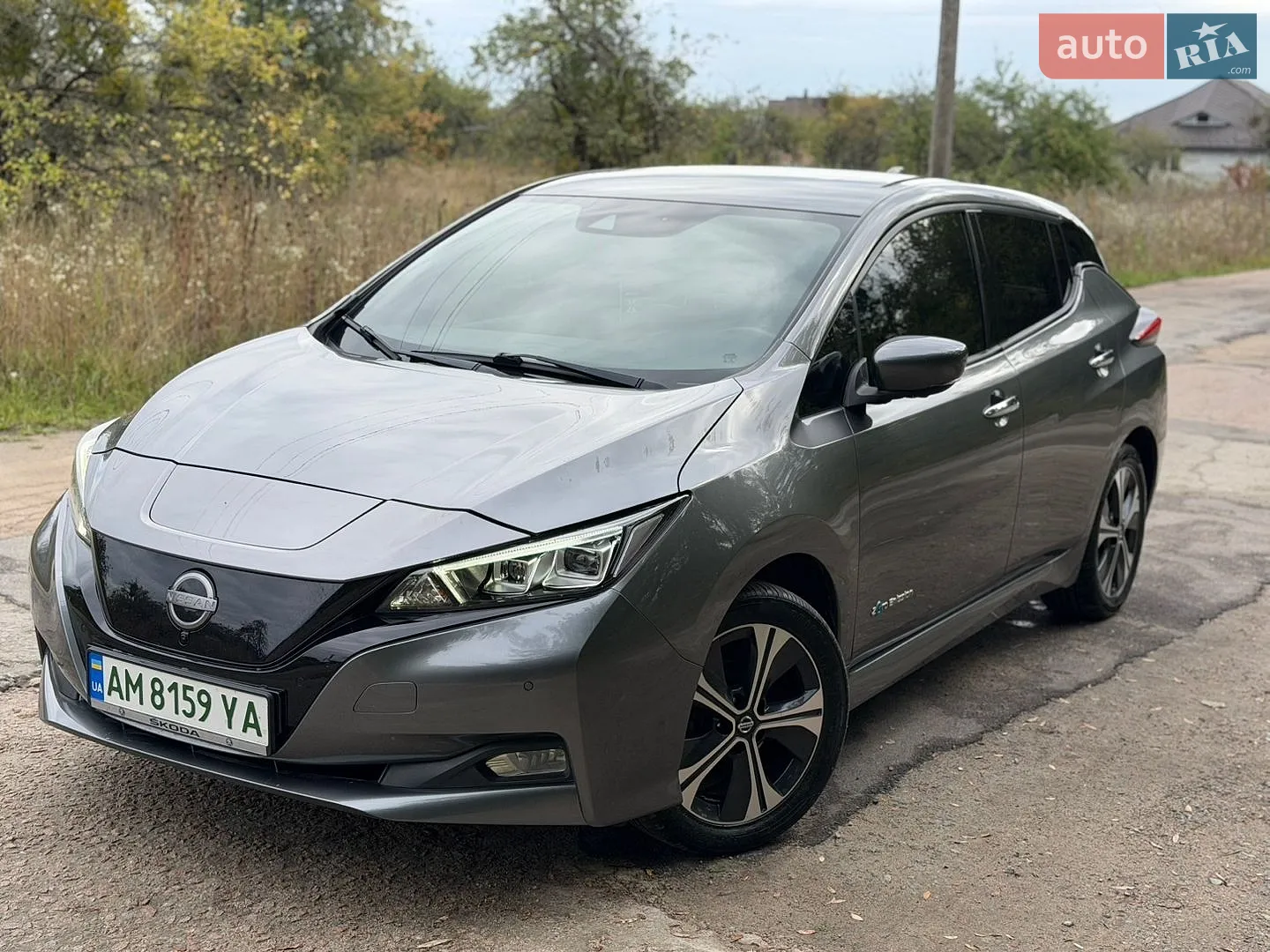 Nissan Leaf, 2019