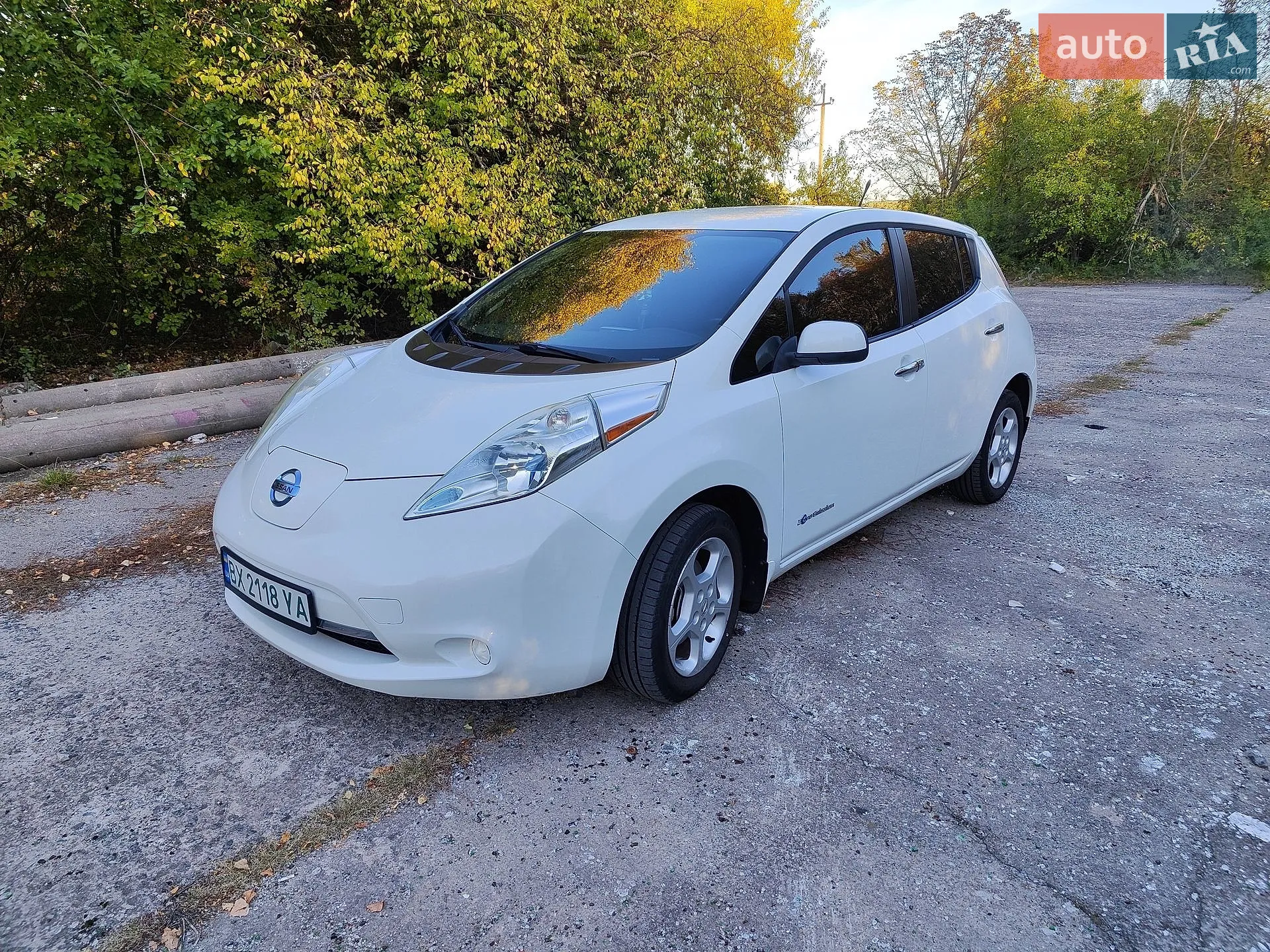 Nissan Leaf, 2013