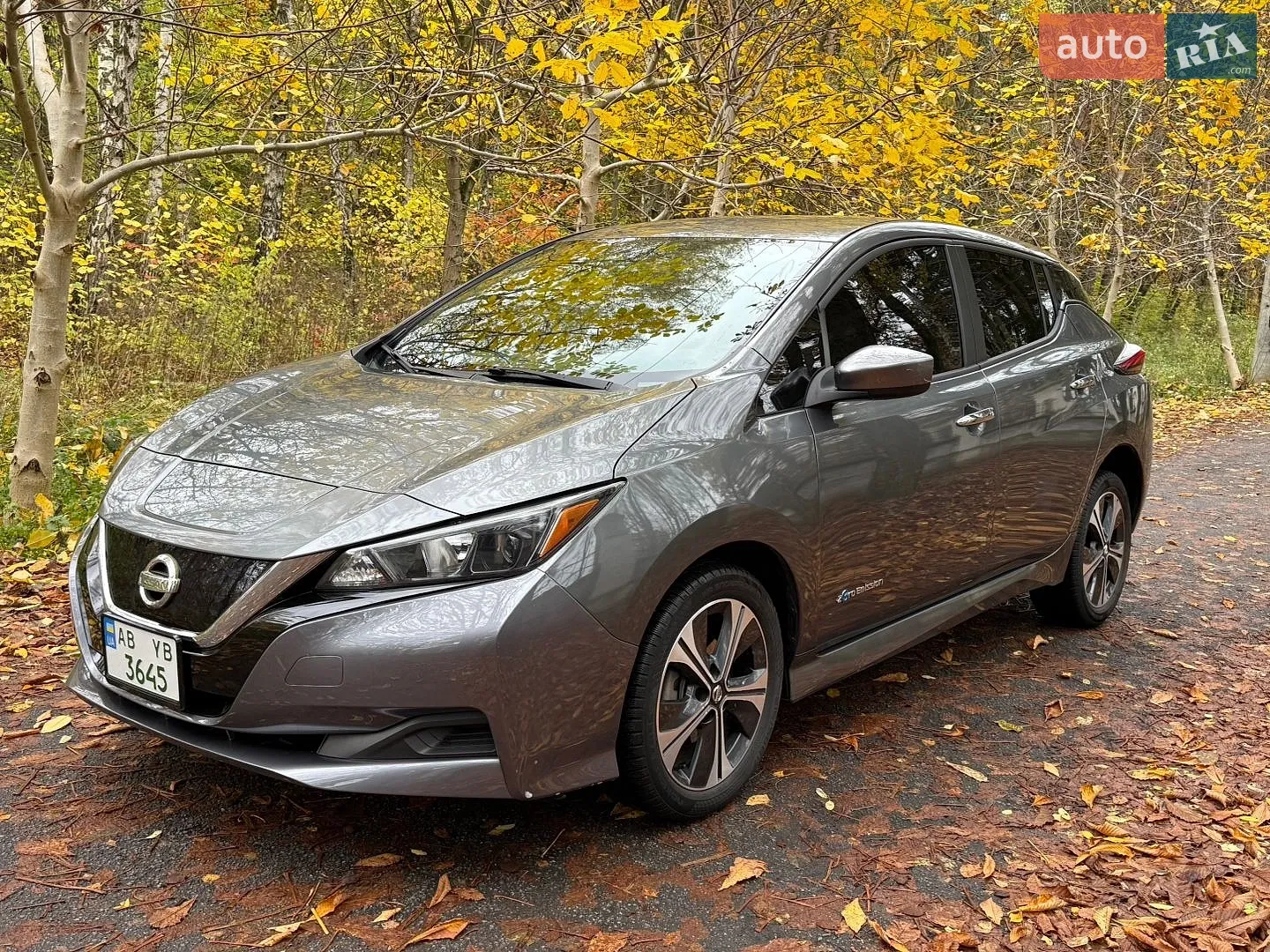 Nissan Leaf, 2019