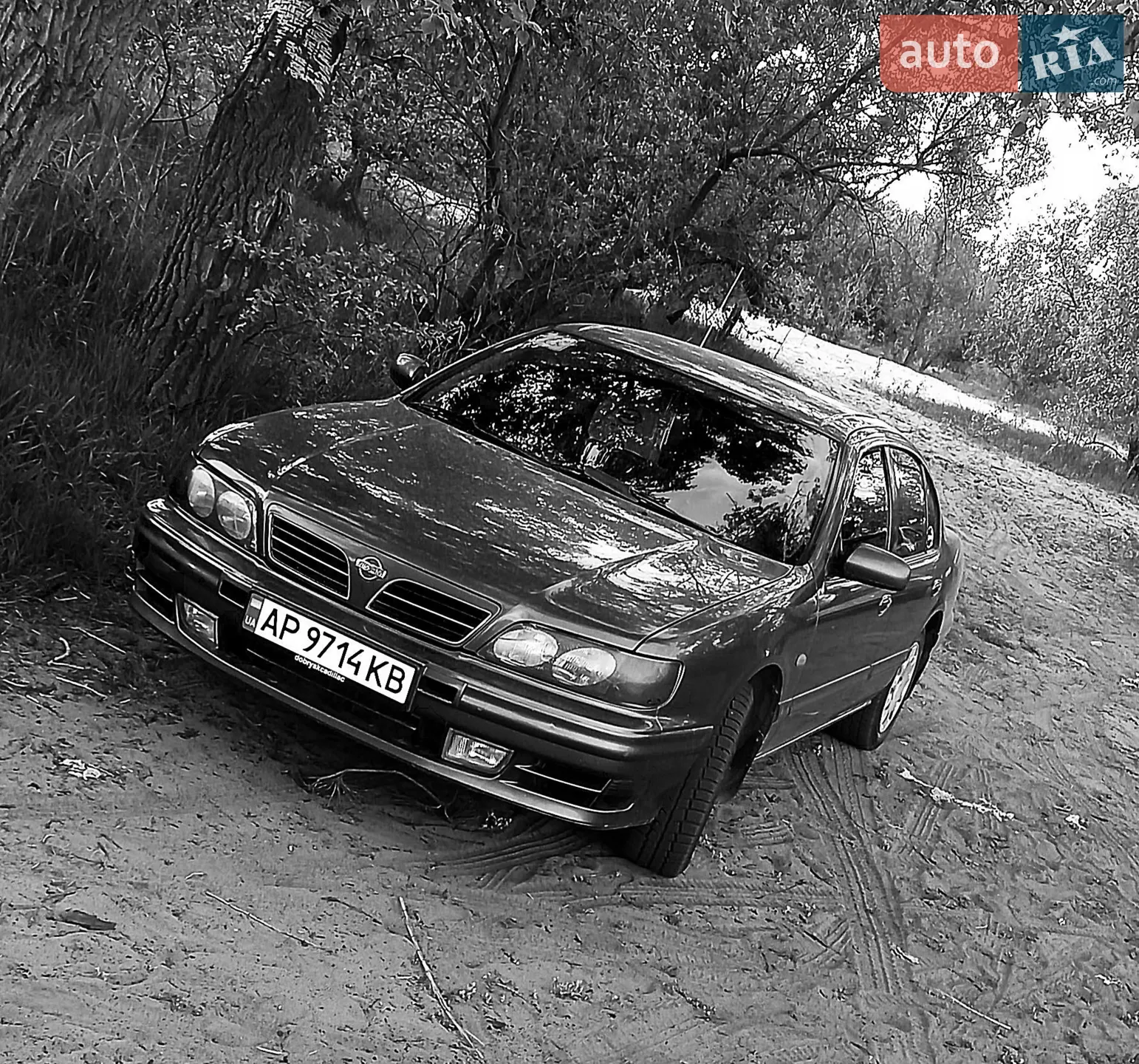 Nissan Maxima, 1999