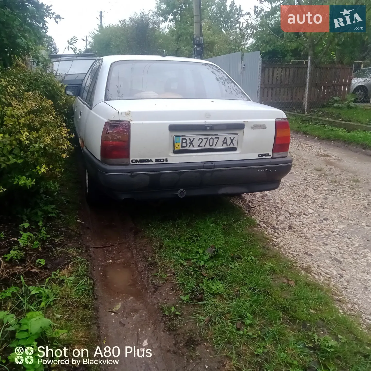 Opel Omega, 1991