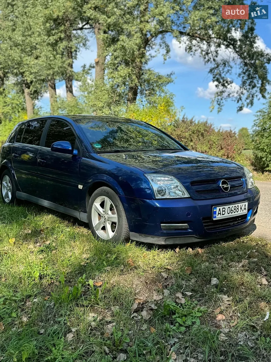 Opel Signum, 2003