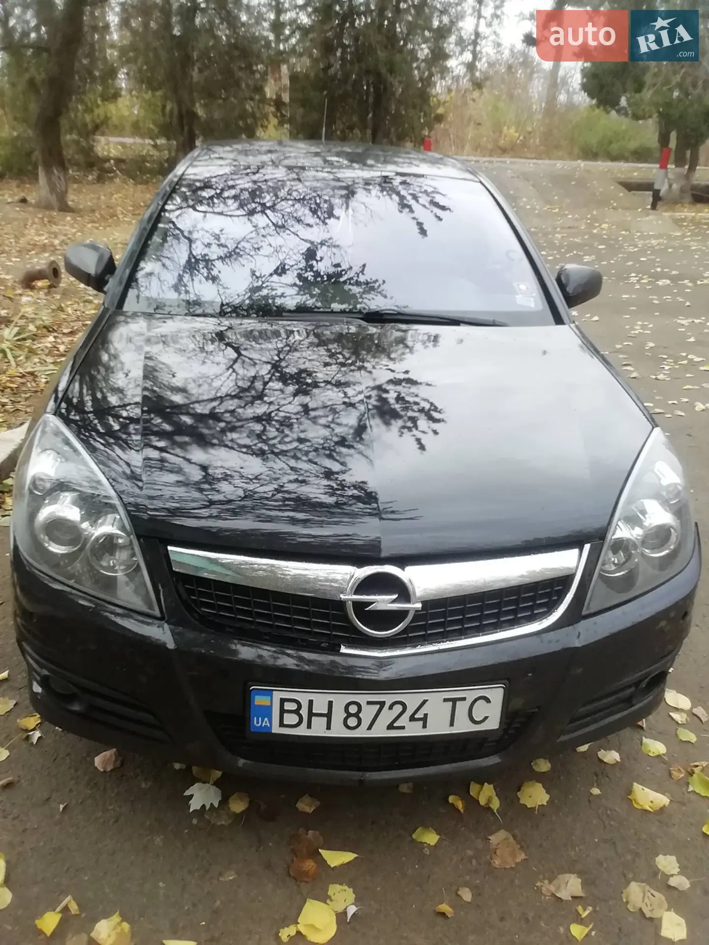 Opel Vectra, 2006