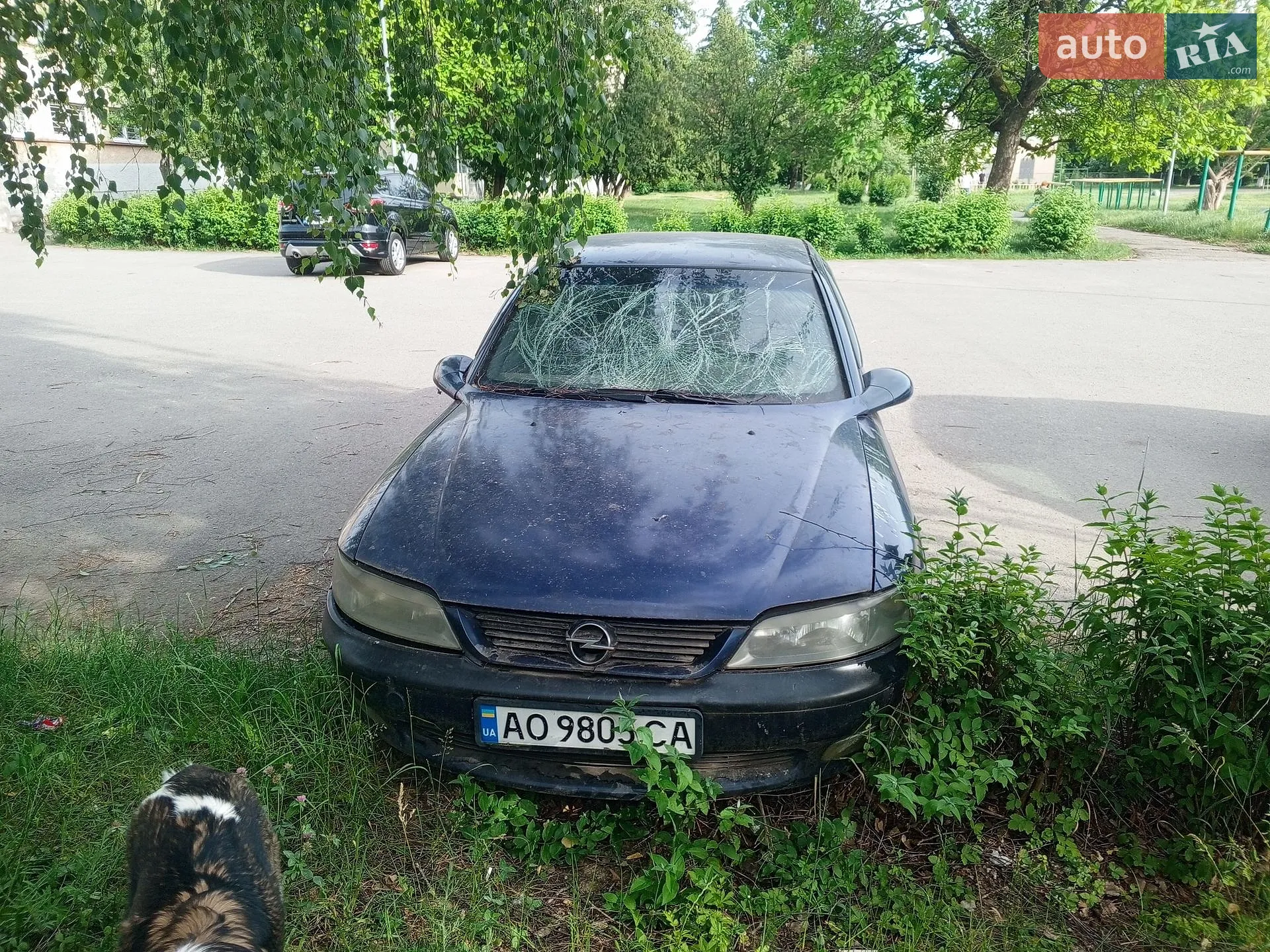 Opel Vectra, 1998