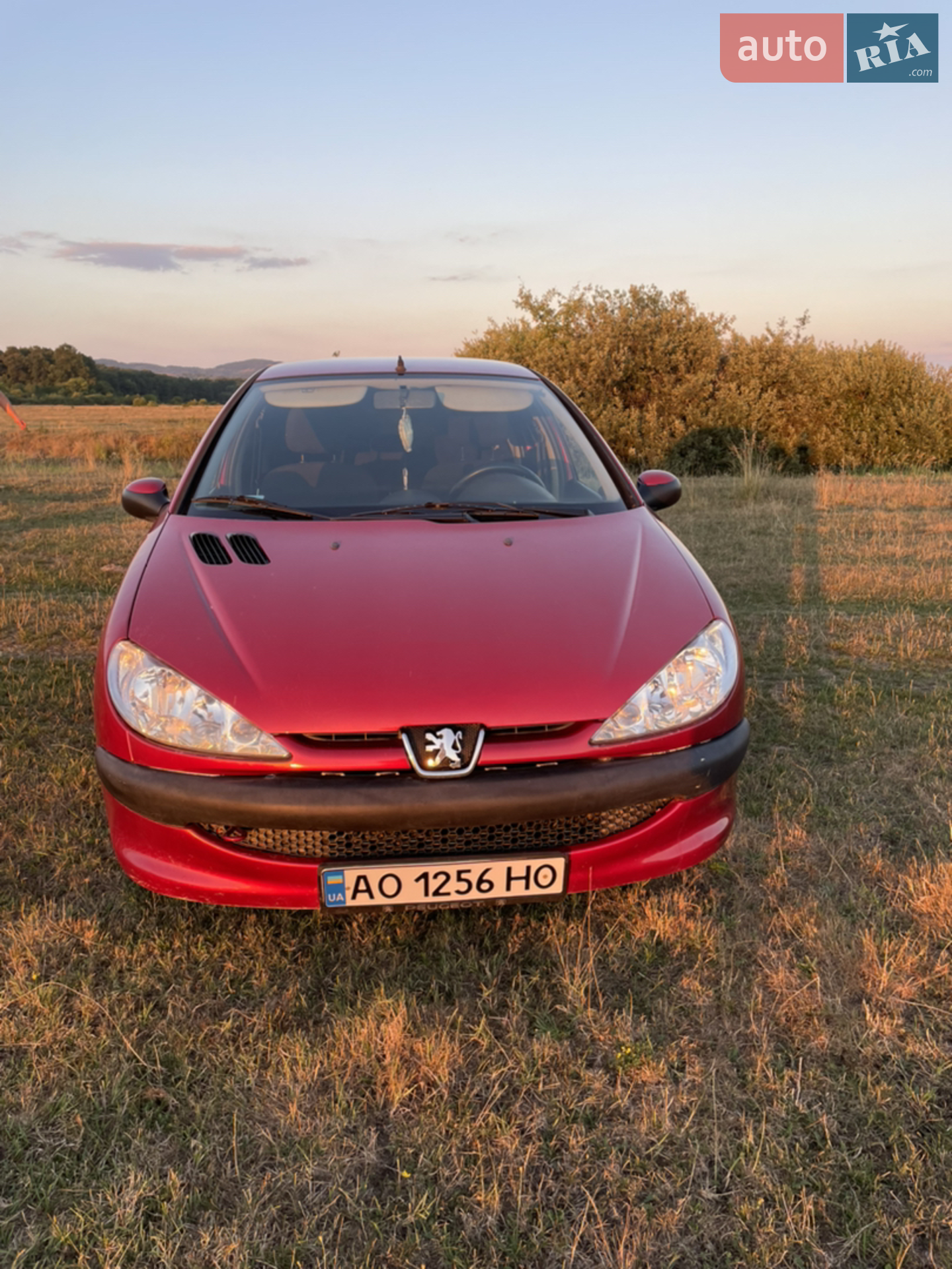 Peugeot 206, 2005