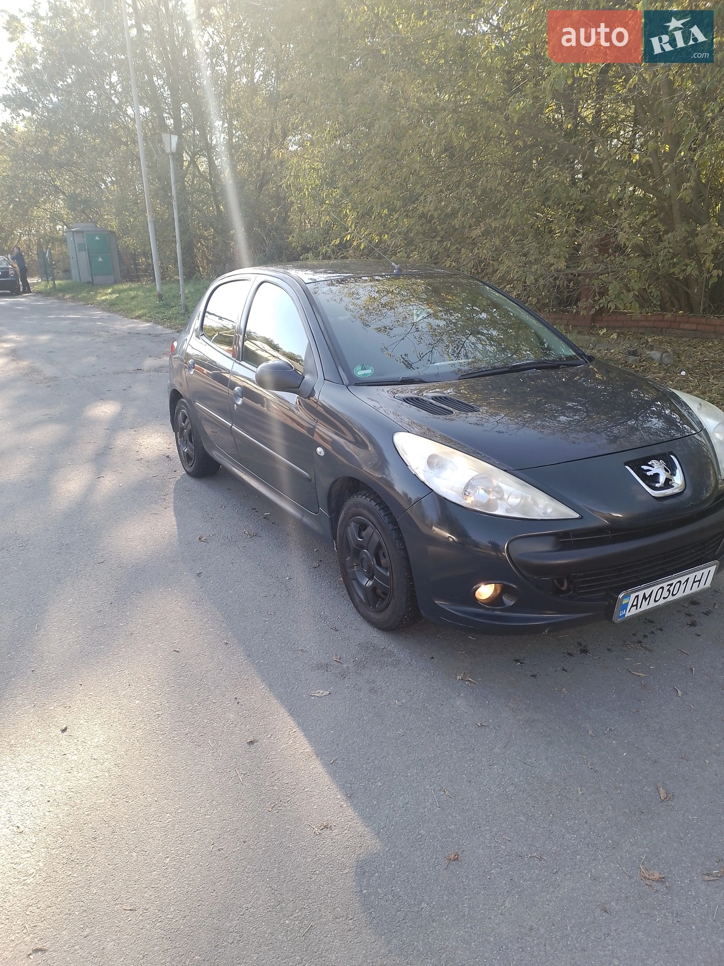 Peugeot 206, 2011