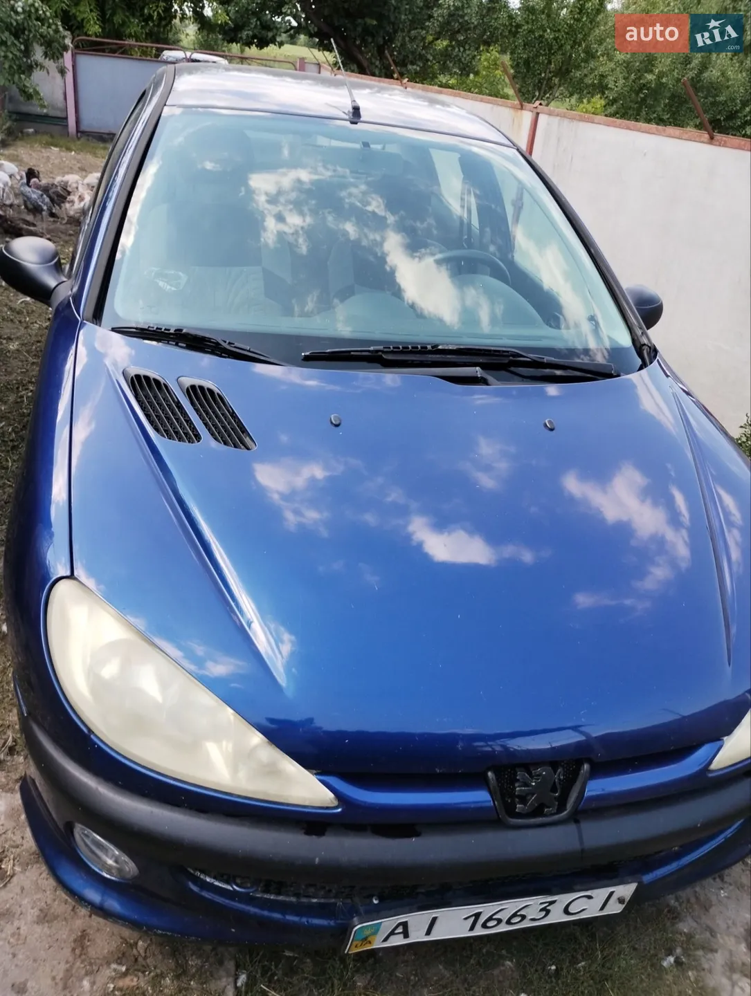 Peugeot 206, 2010