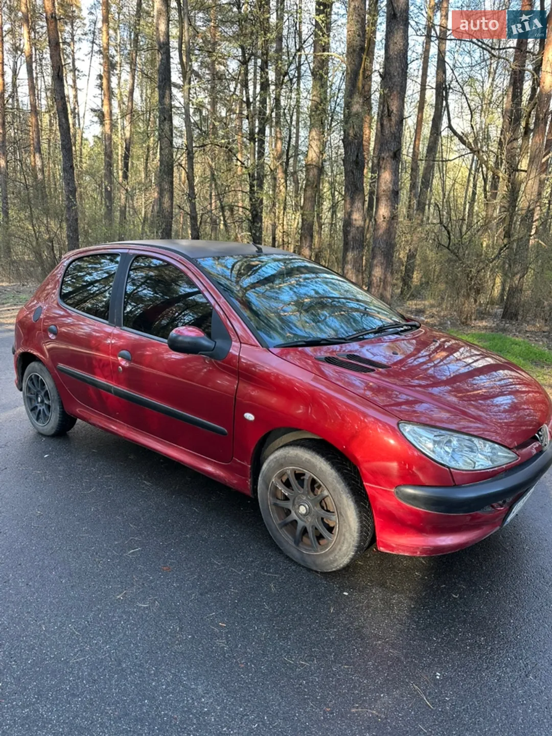 Peugeot 206, 2006