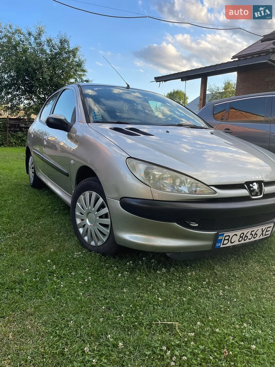 Peugeot 206, 2004