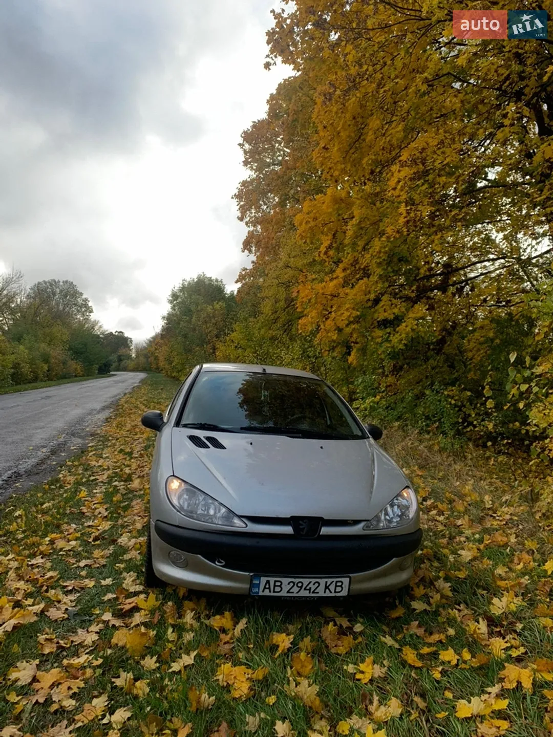 Peugeot 206, 2007