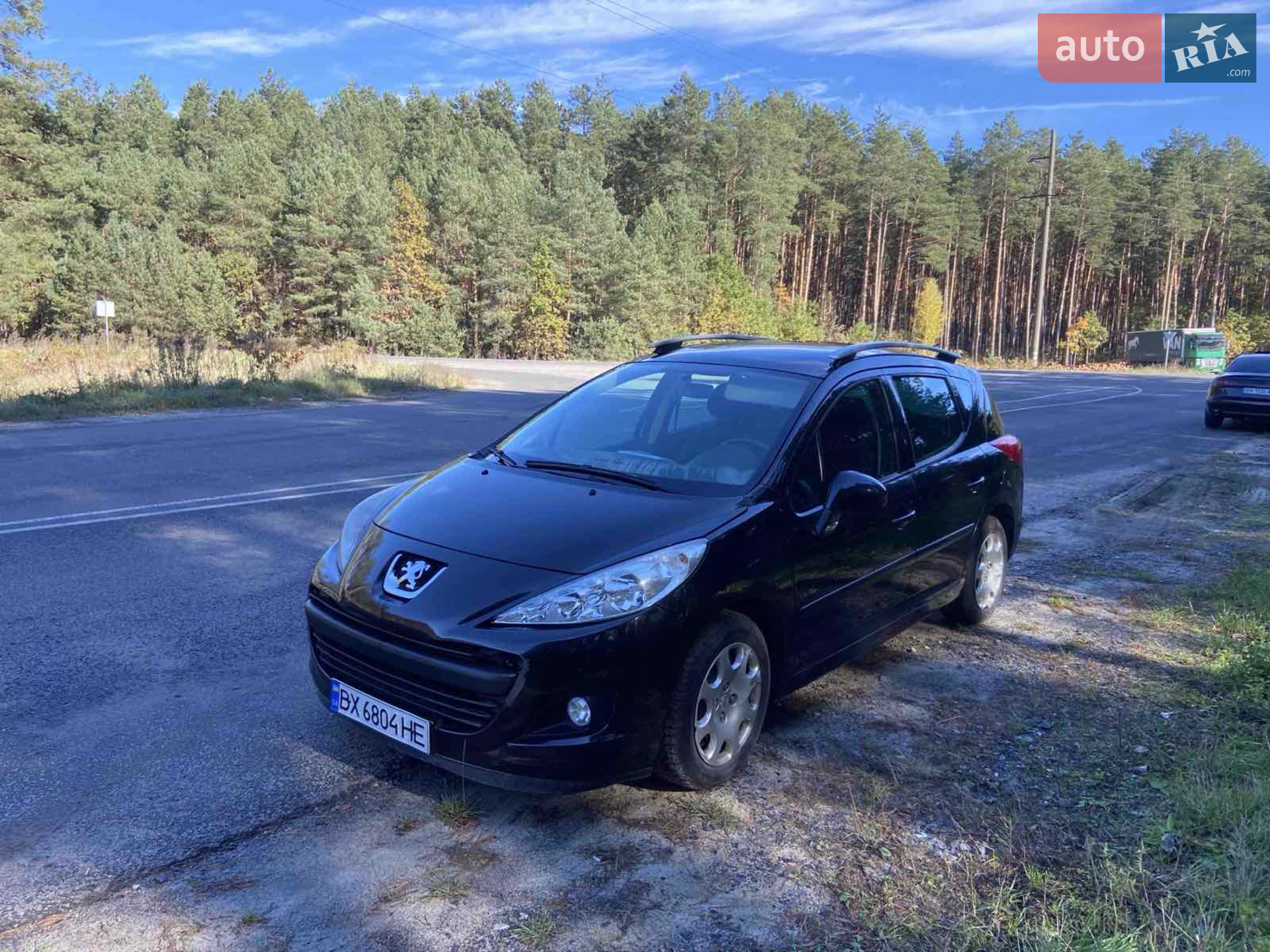 Peugeot 207, 2010