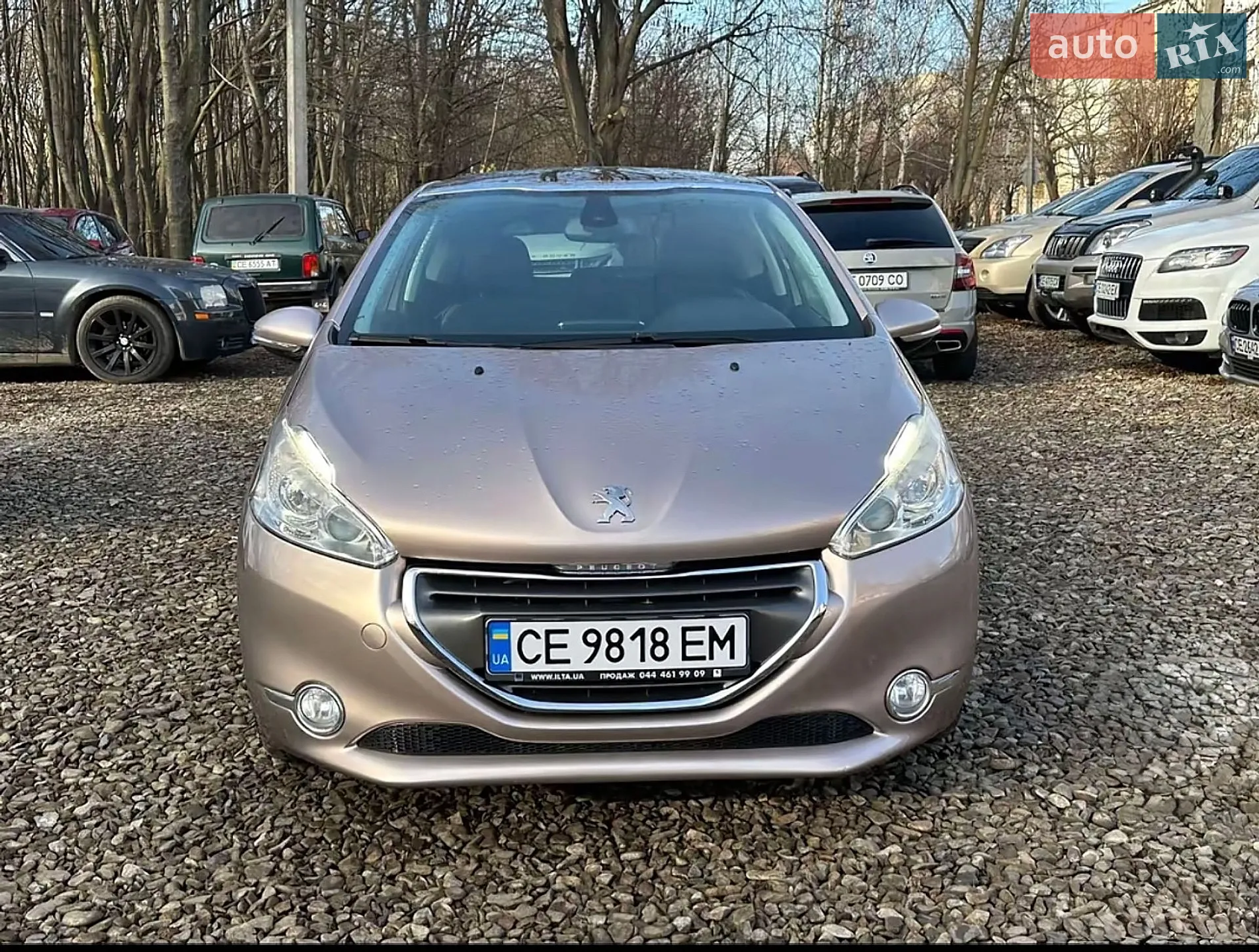 Peugeot 208, 2013