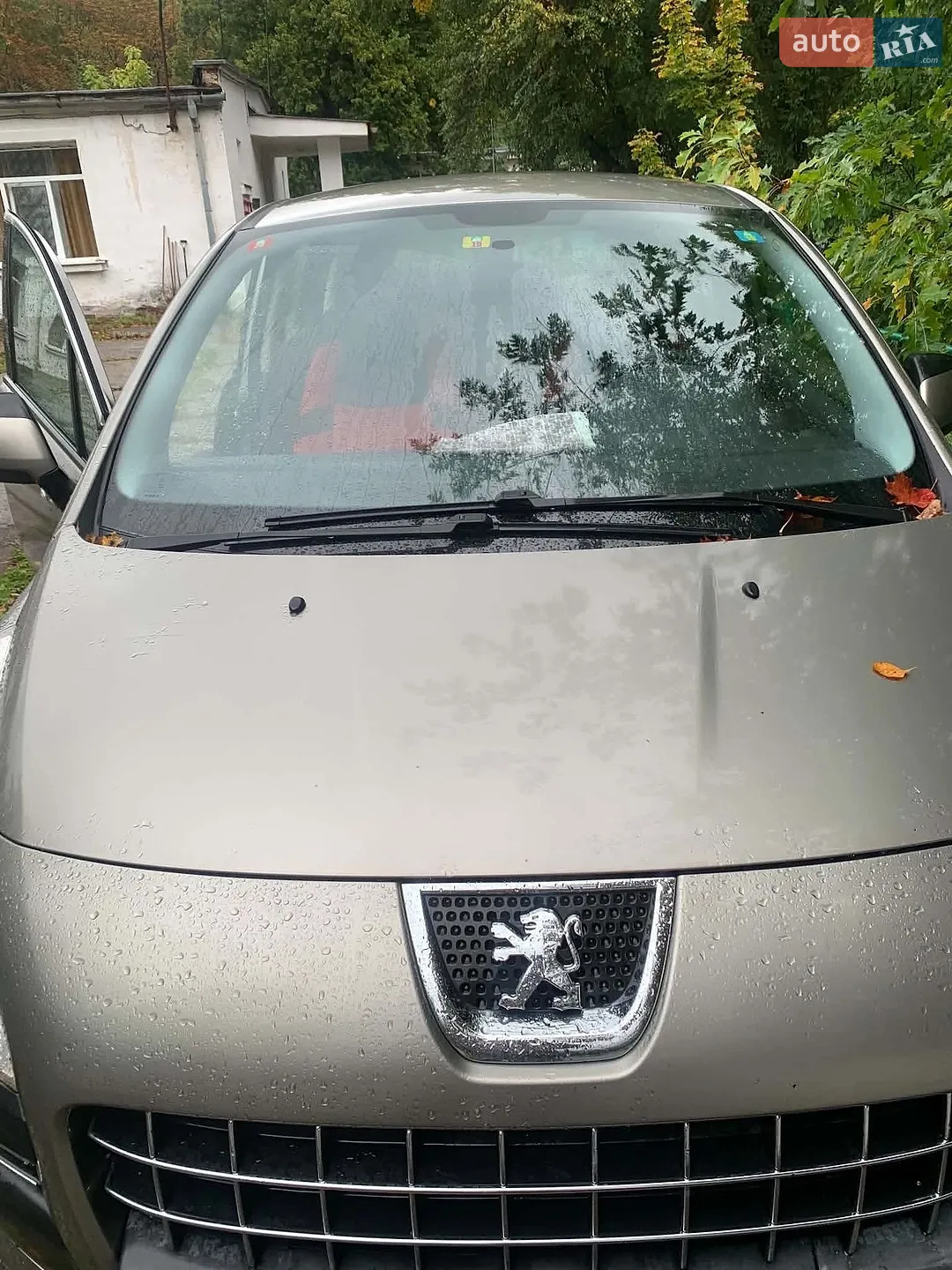 Peugeot 3008, 2009