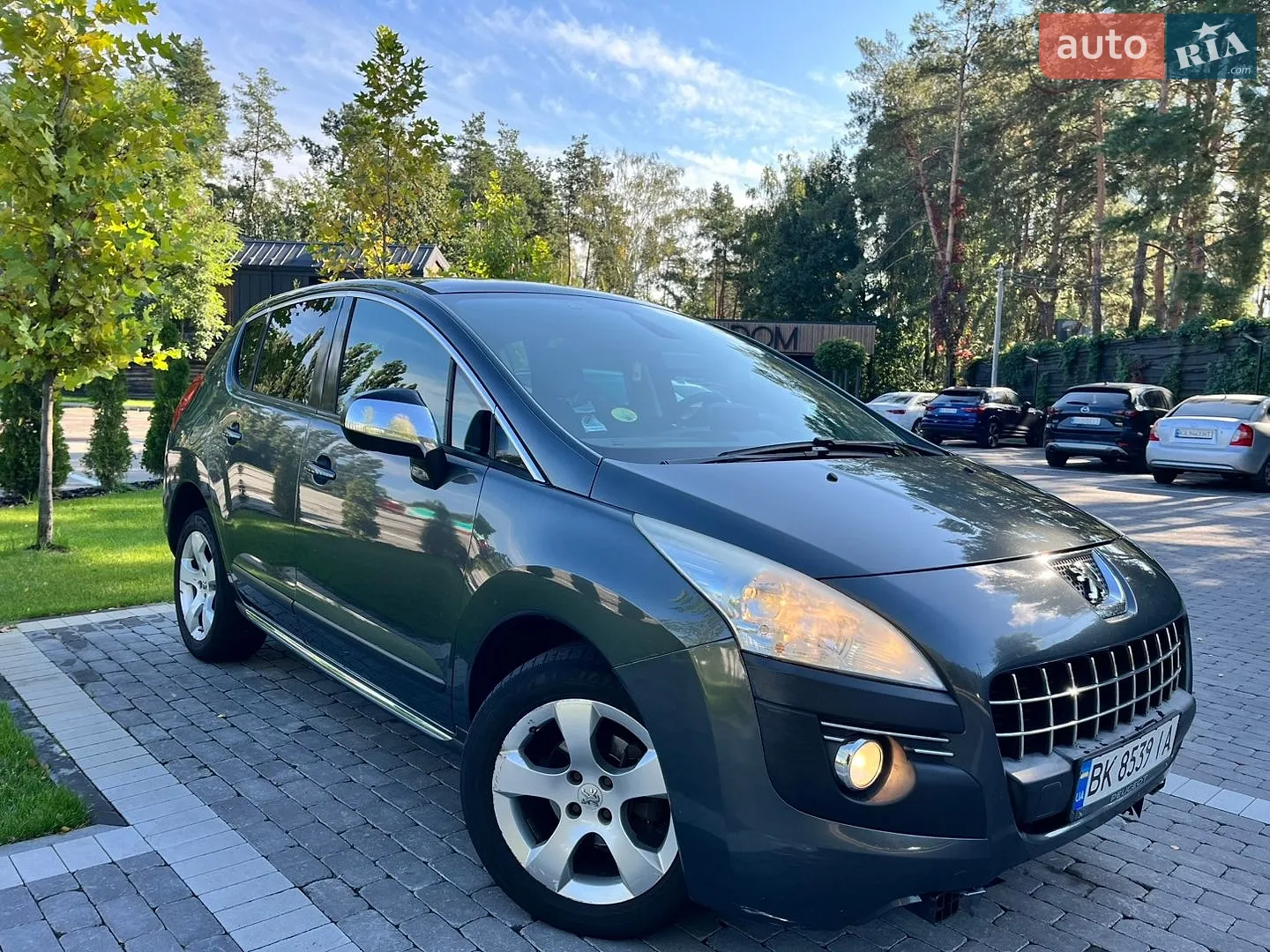Peugeot 3008, 2010