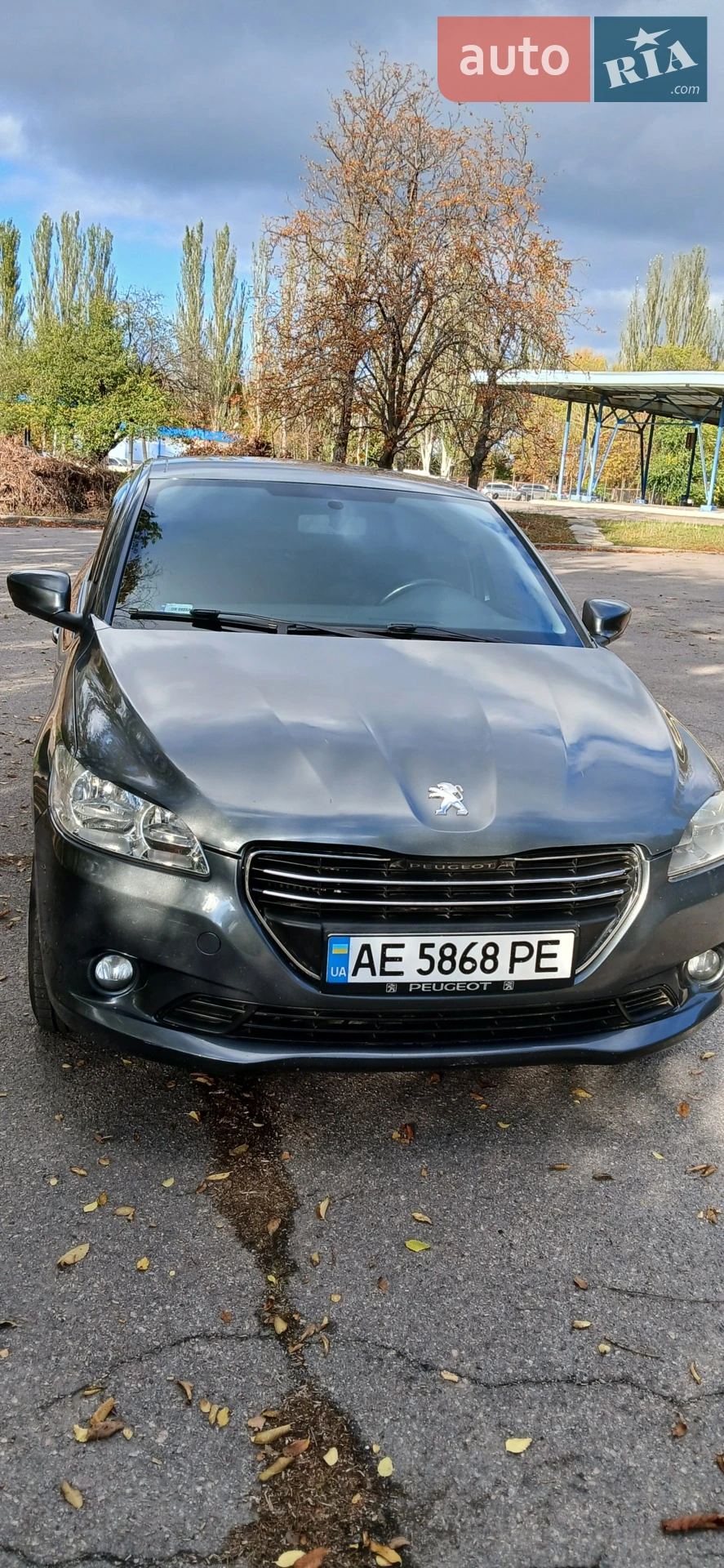Peugeot 301, 2014
