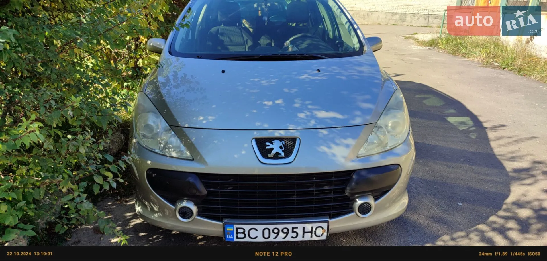 Peugeot 307, 2007
