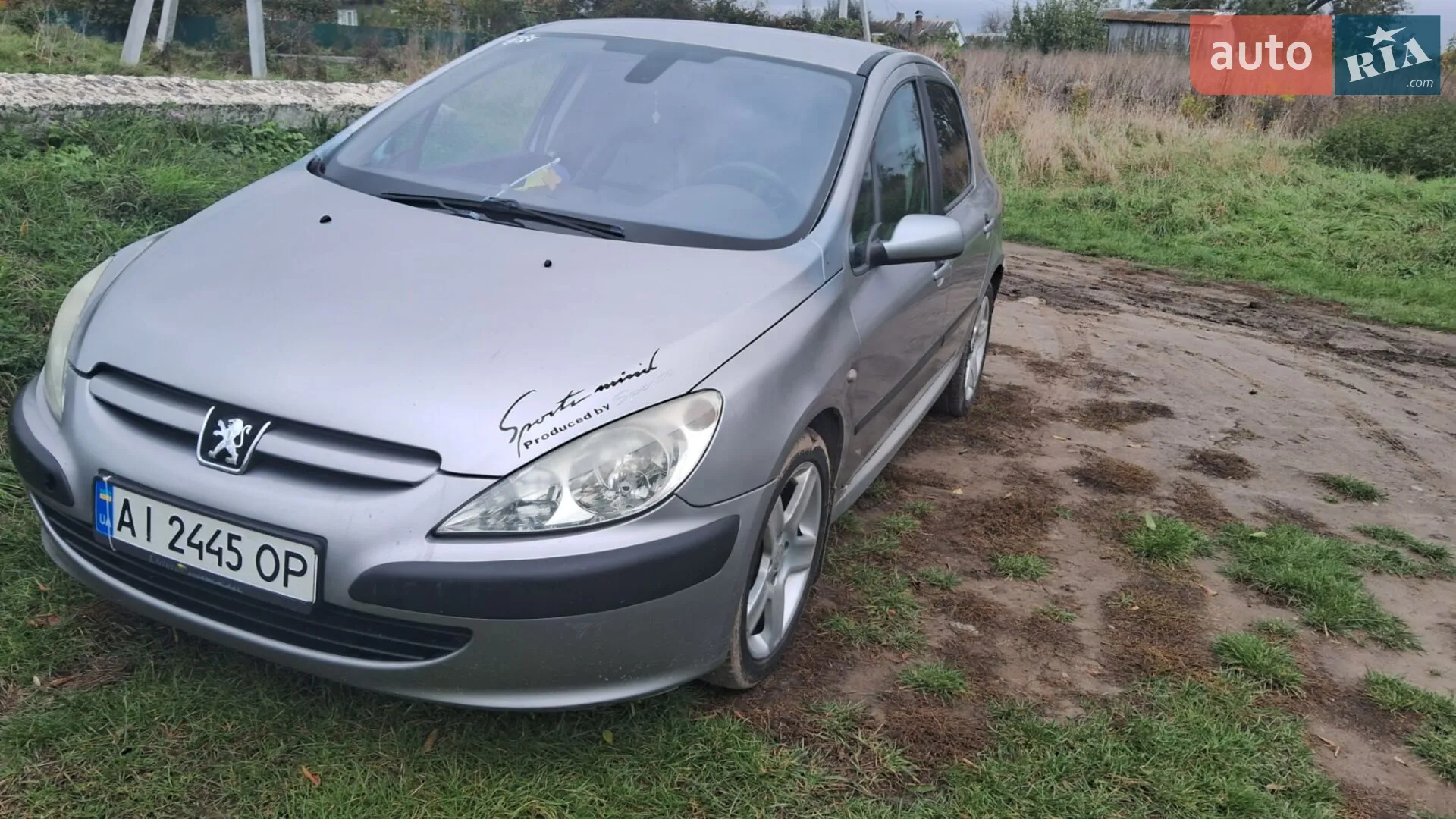 Peugeot 307, 2002