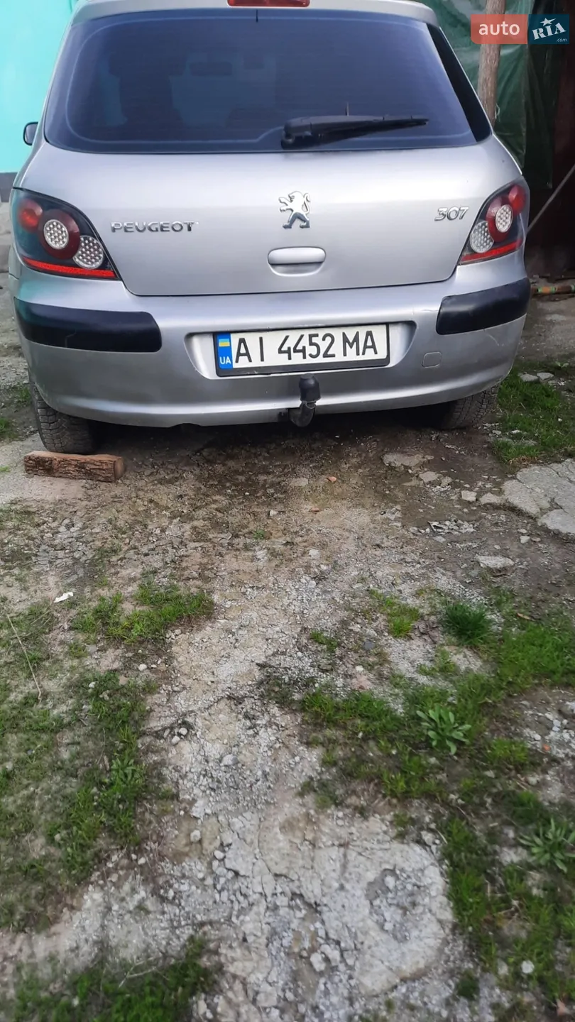 Peugeot 307, 2004