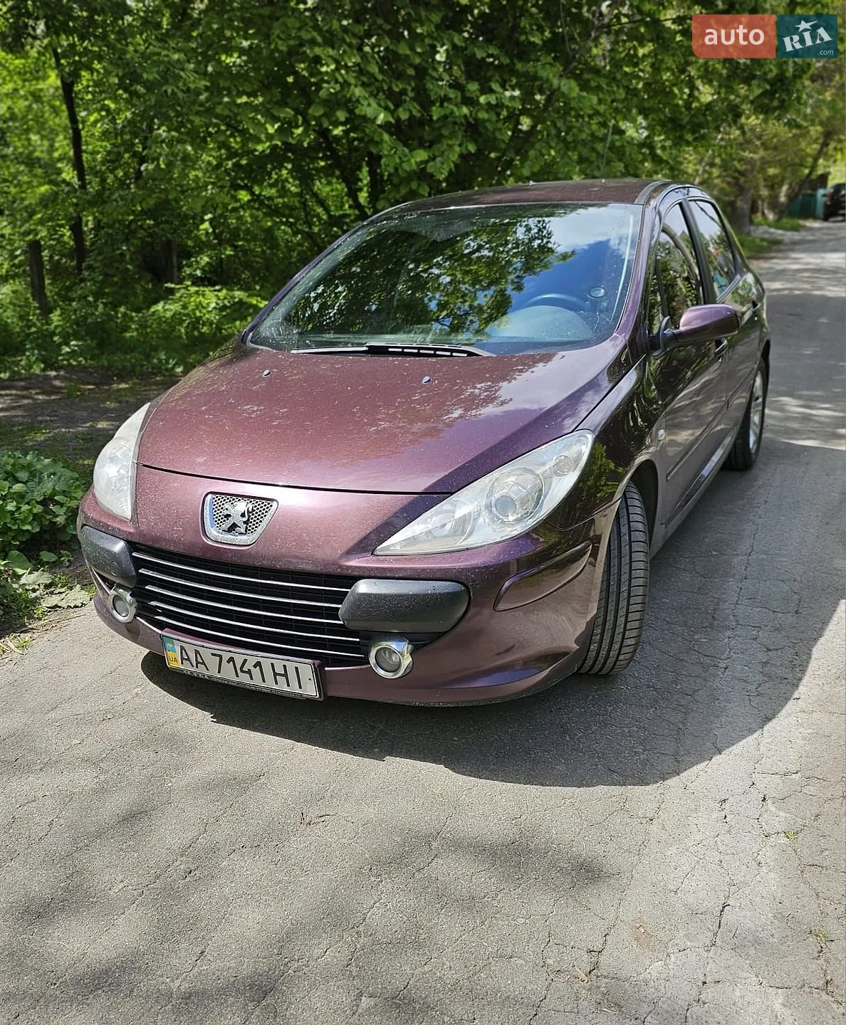 Peugeot 307, 2006