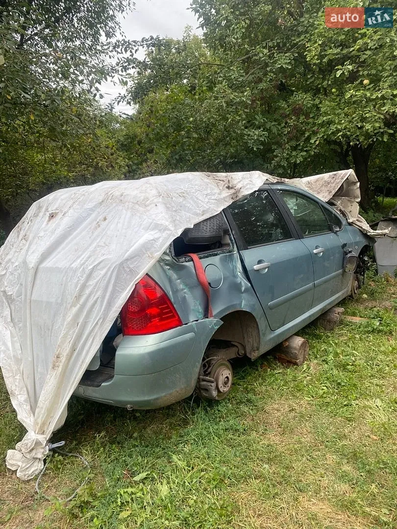 Peugeot 307, 2005