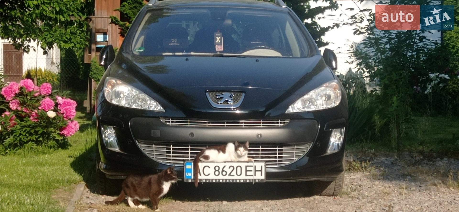 Peugeot 308, 2009