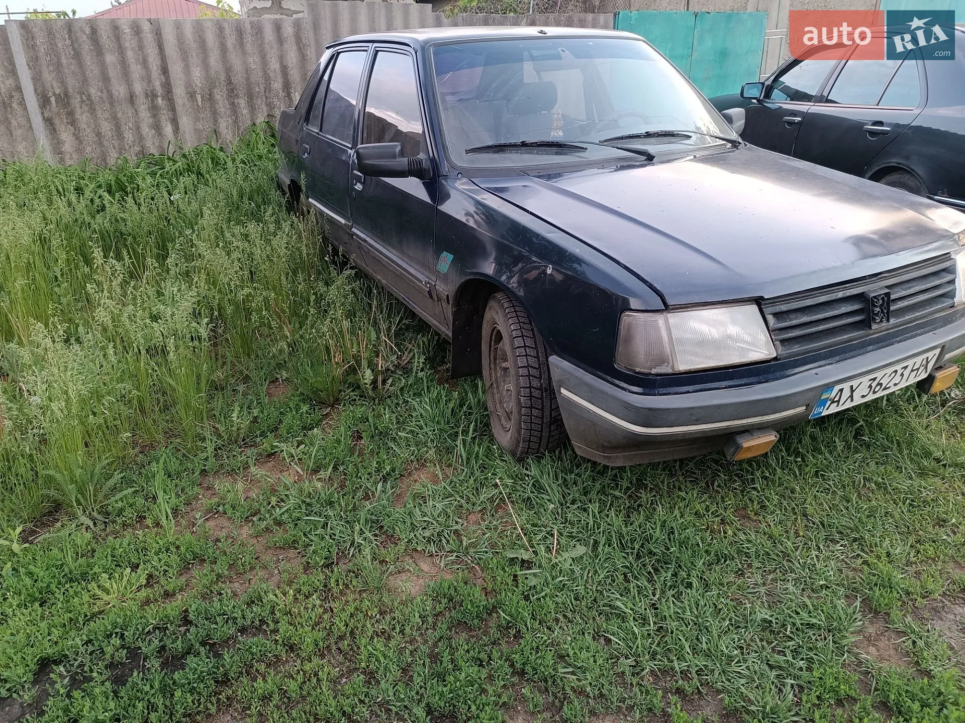 Peugeot 309, 1991