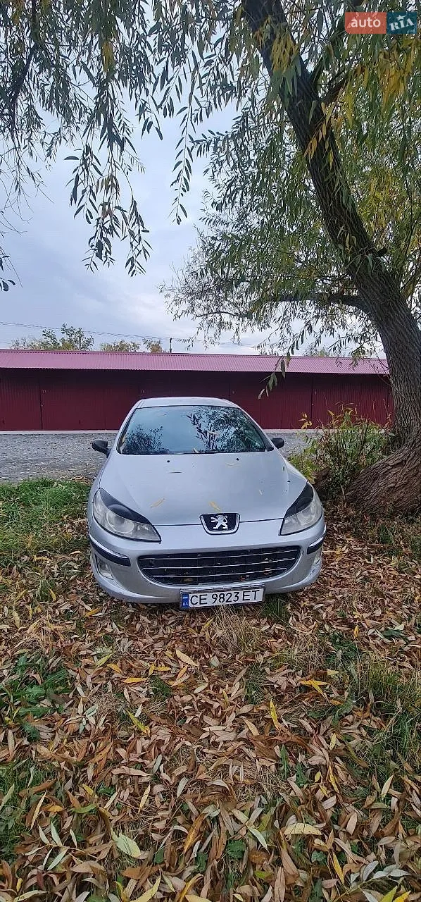 Peugeot 407, 2004