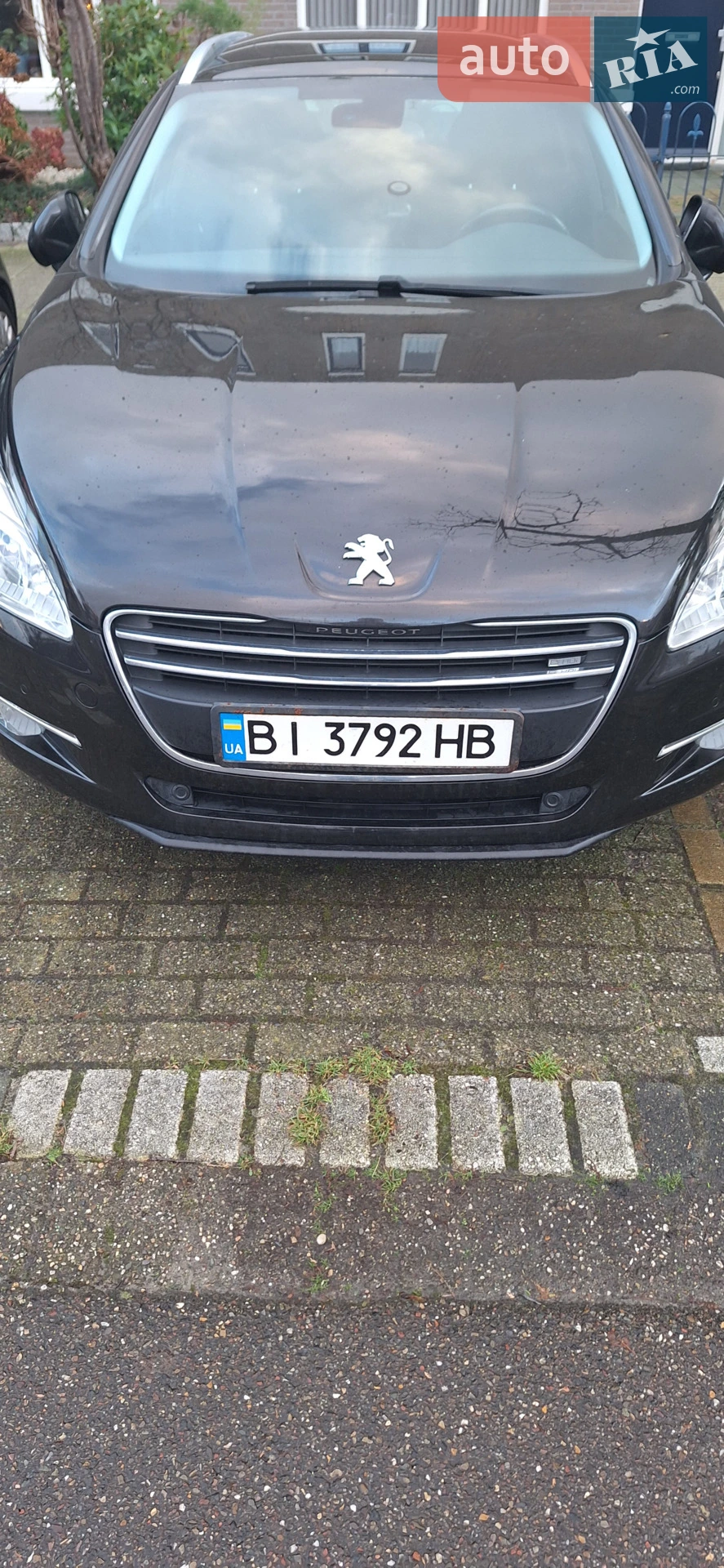 Peugeot 508, 2011